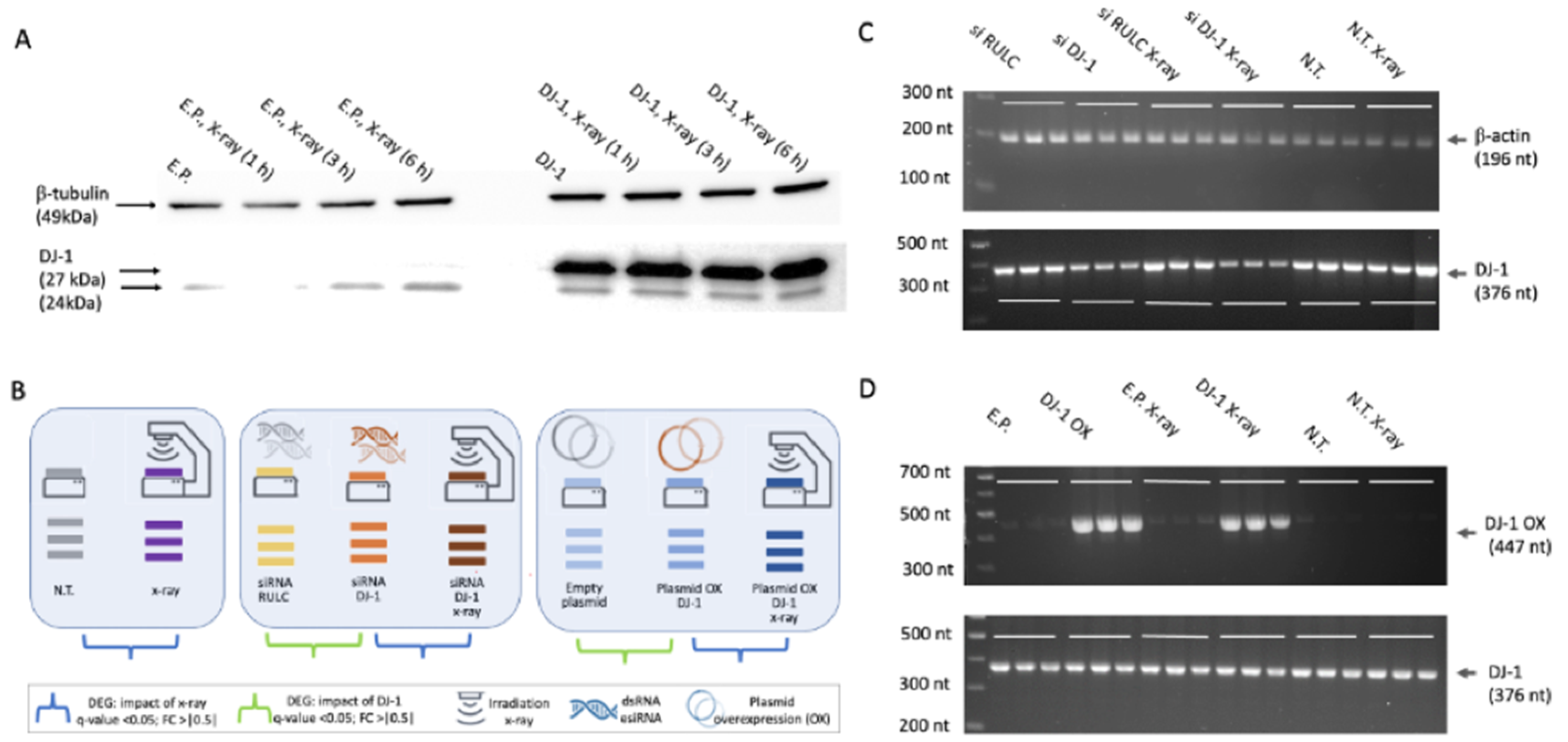 Preprints 182479 g001