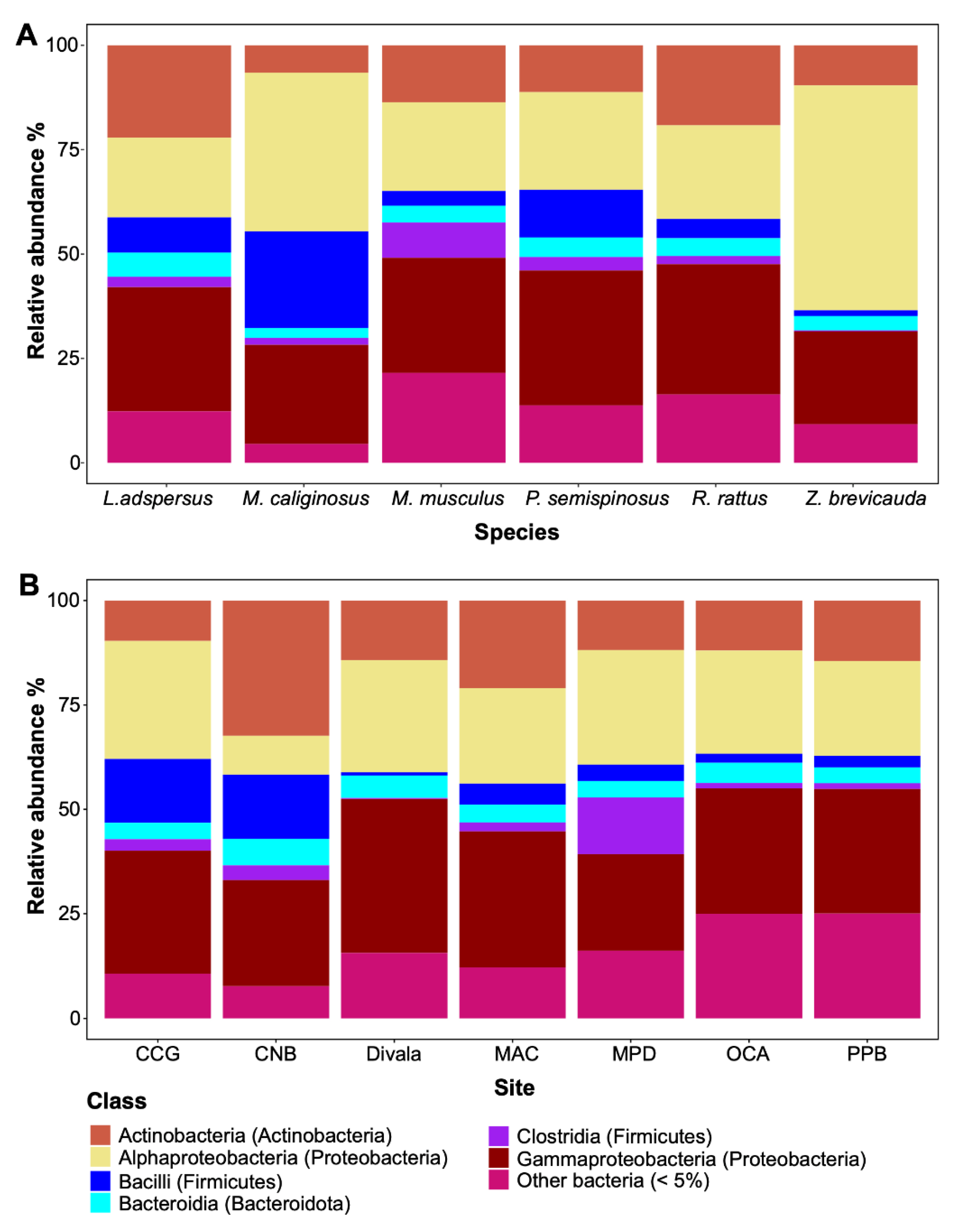 Preprints 95948 g002