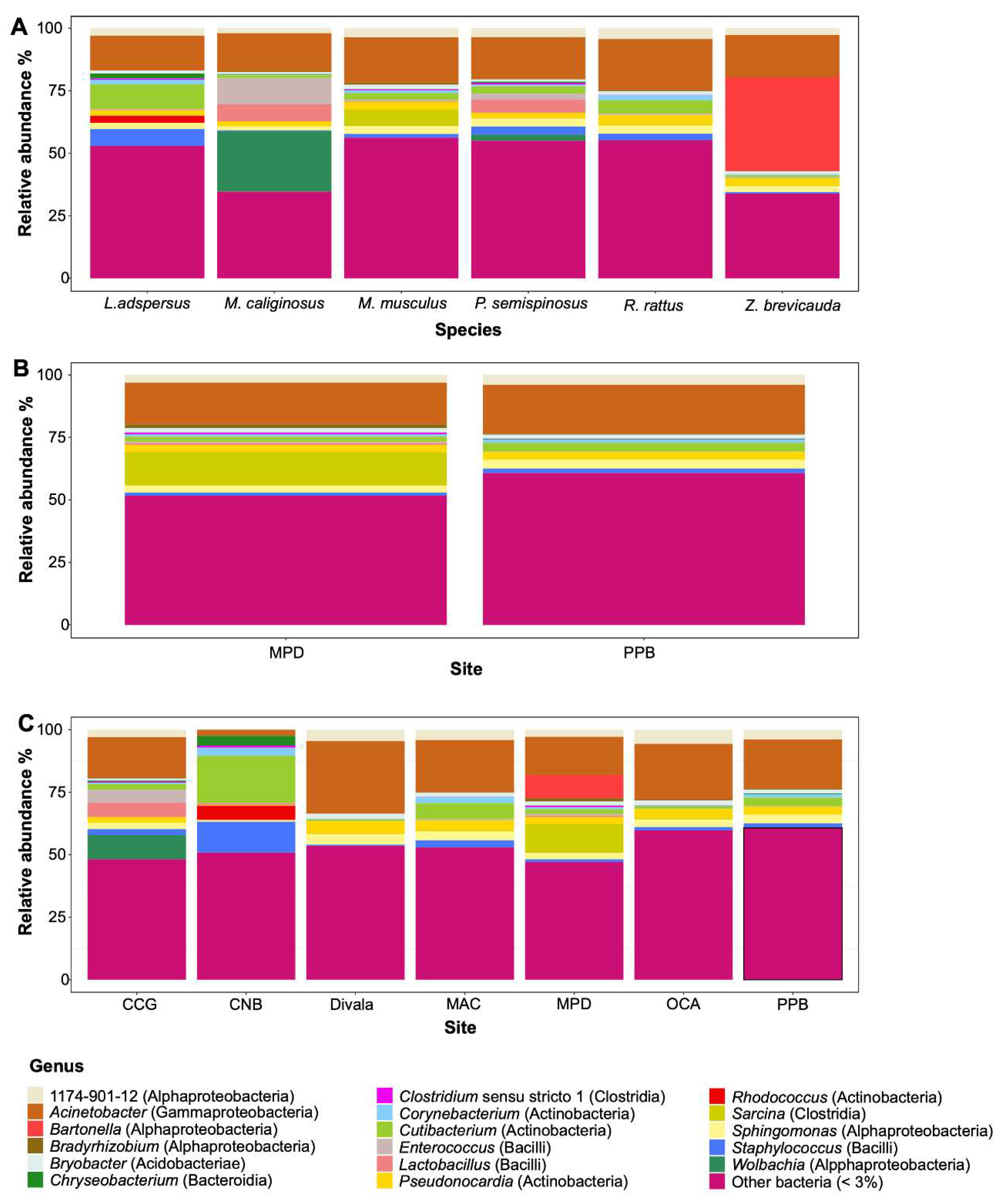 Preprints 95948 g003