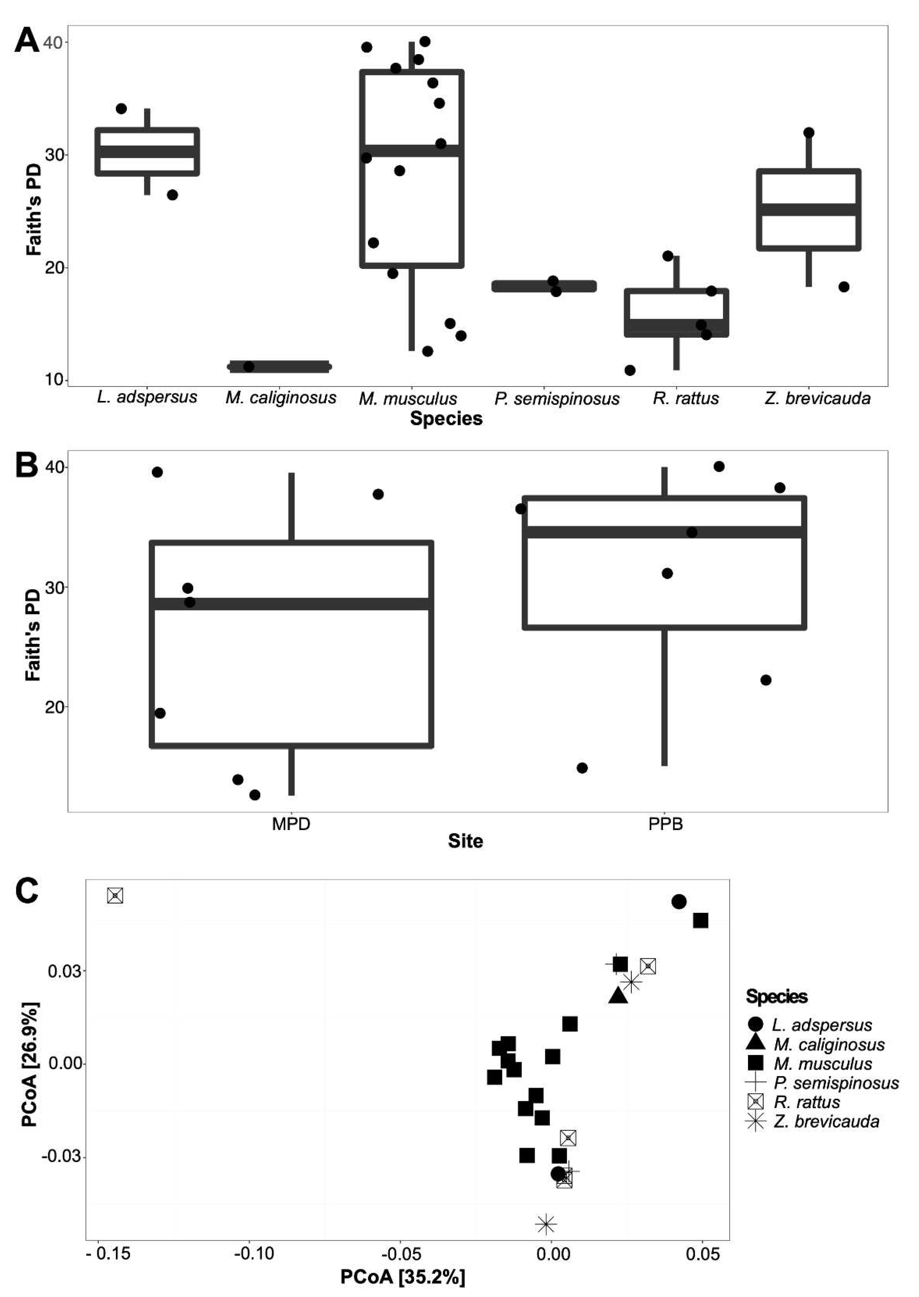 Preprints 95948 g004