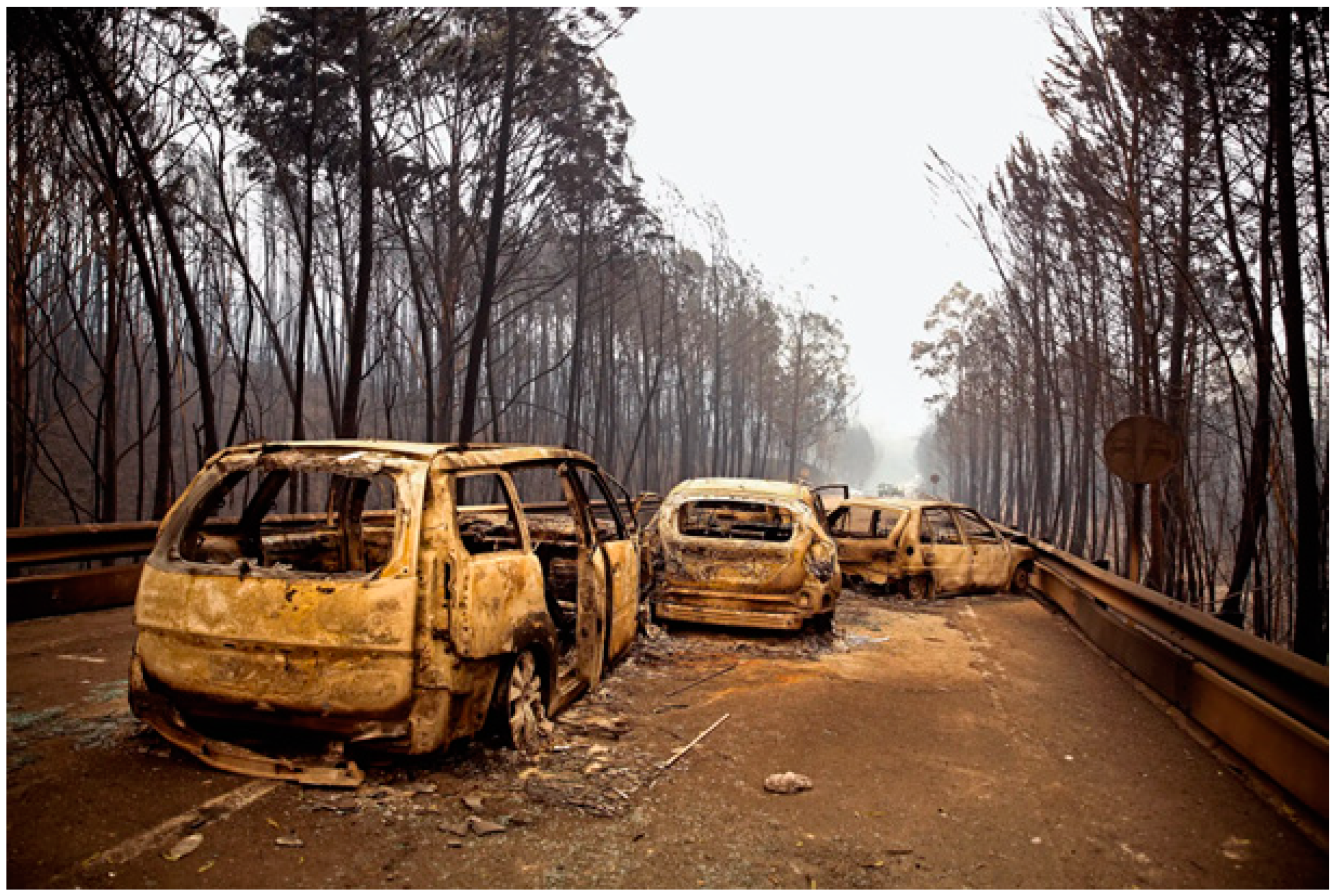 Preprints 154290 g001