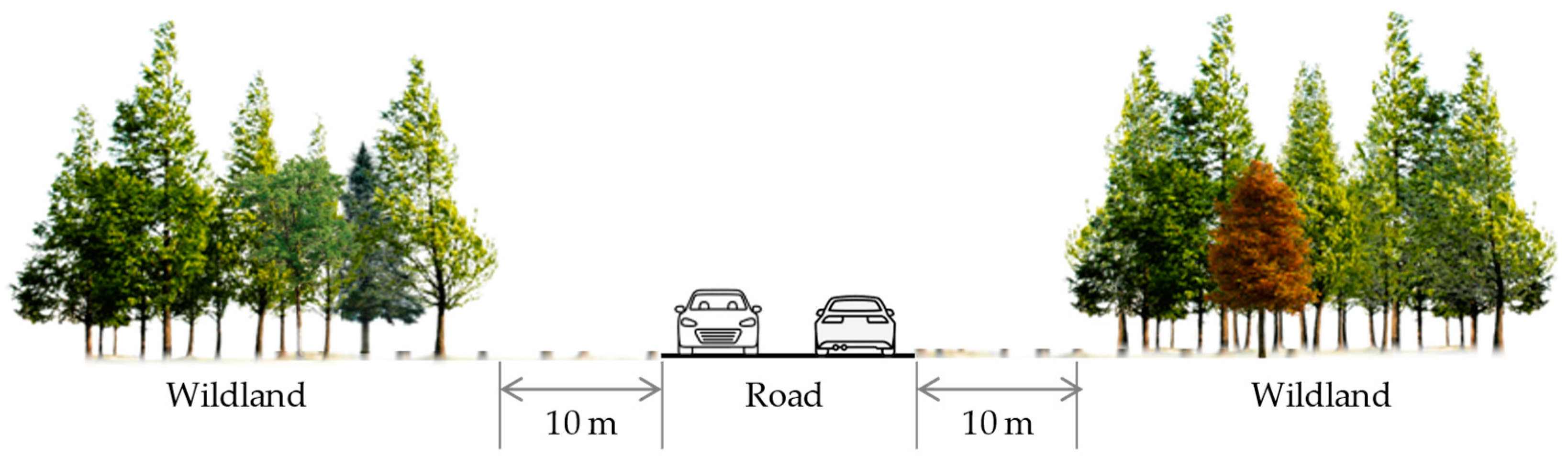 Preprints 154290 g003