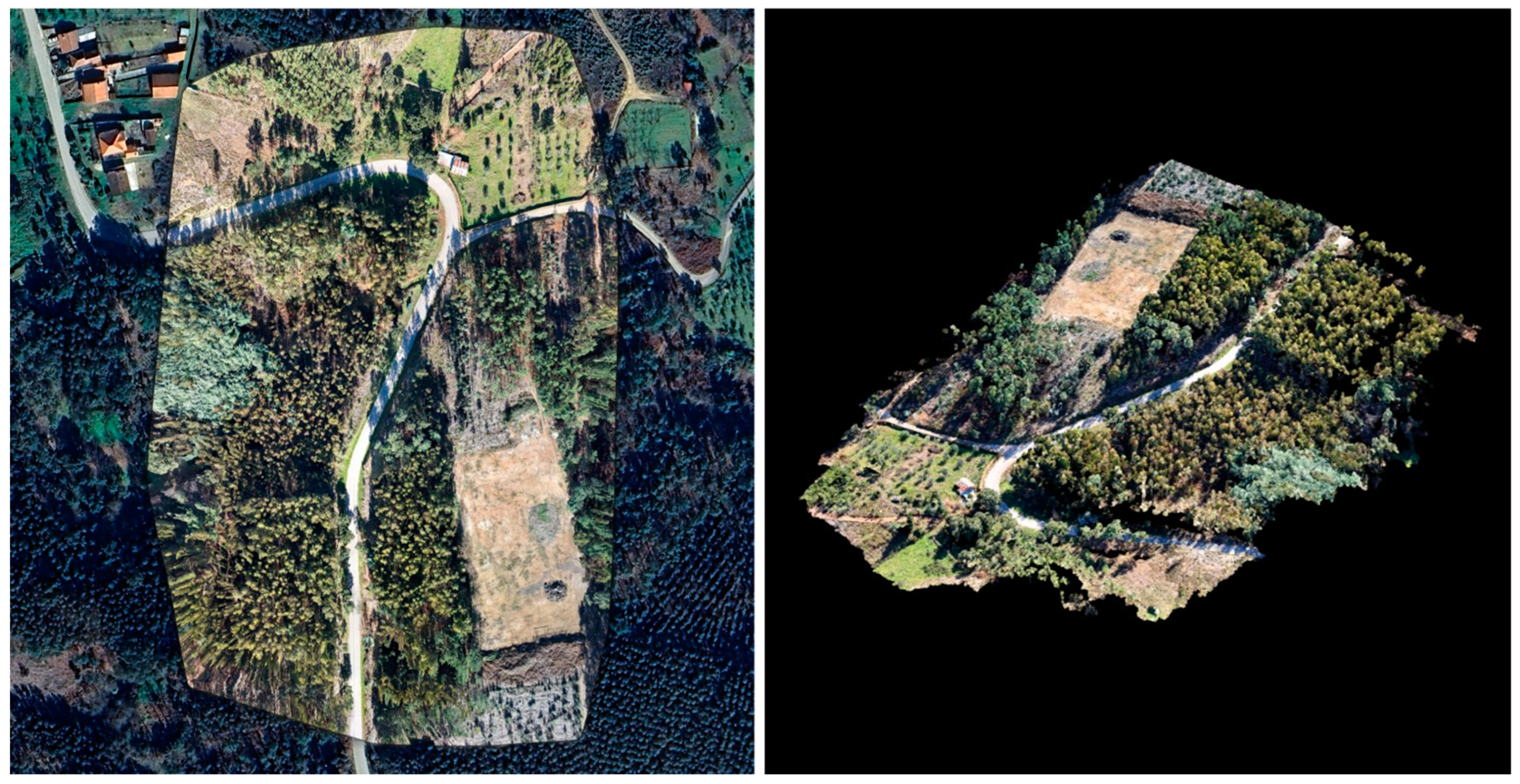 Preprints 154290 g007