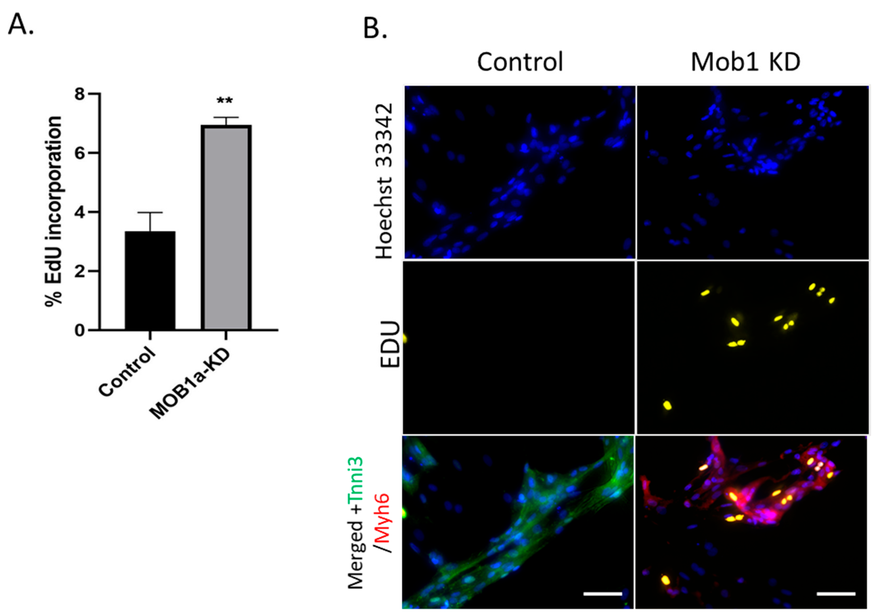 Preprints 173133 g002