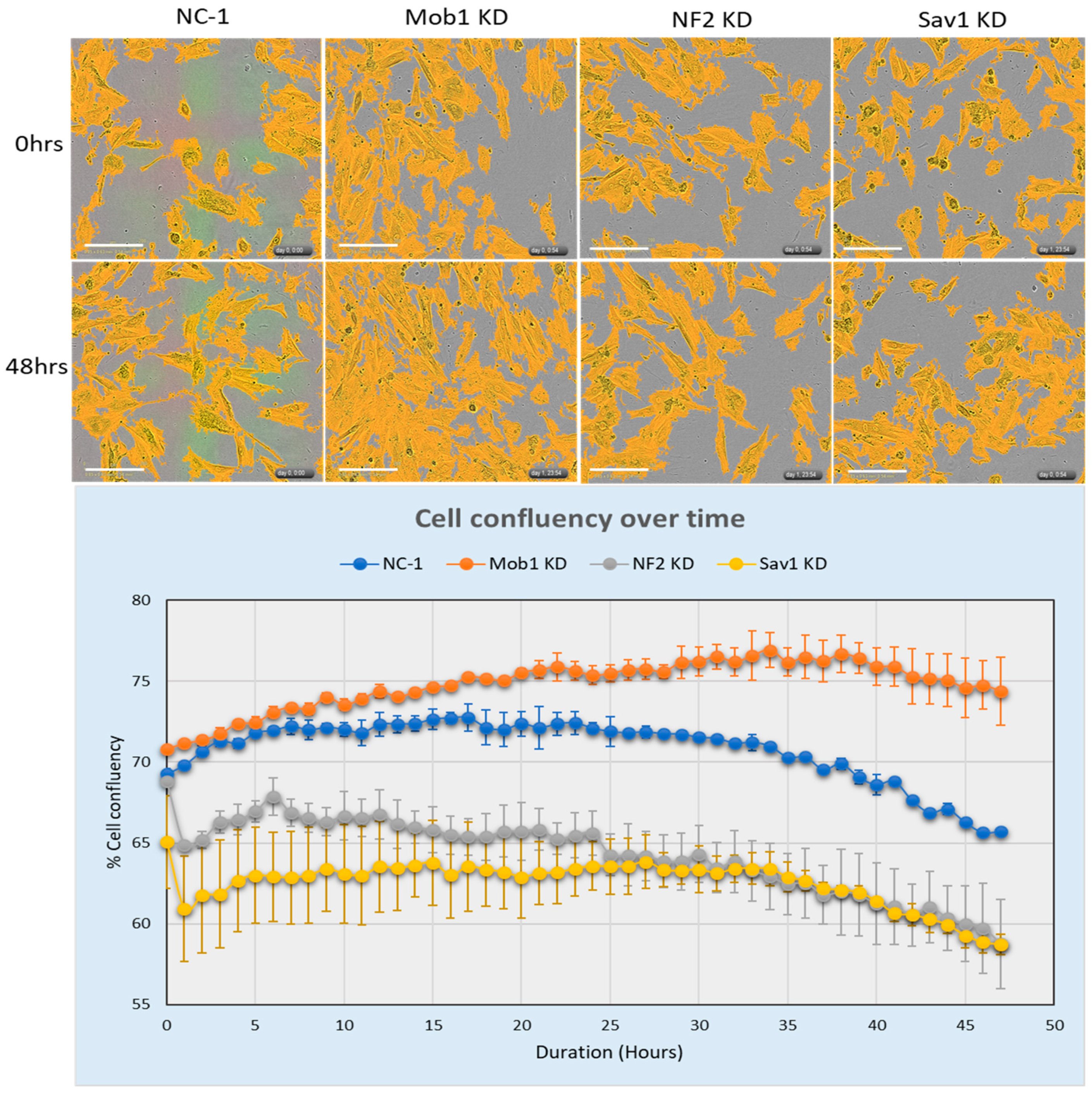 Preprints 173133 g003