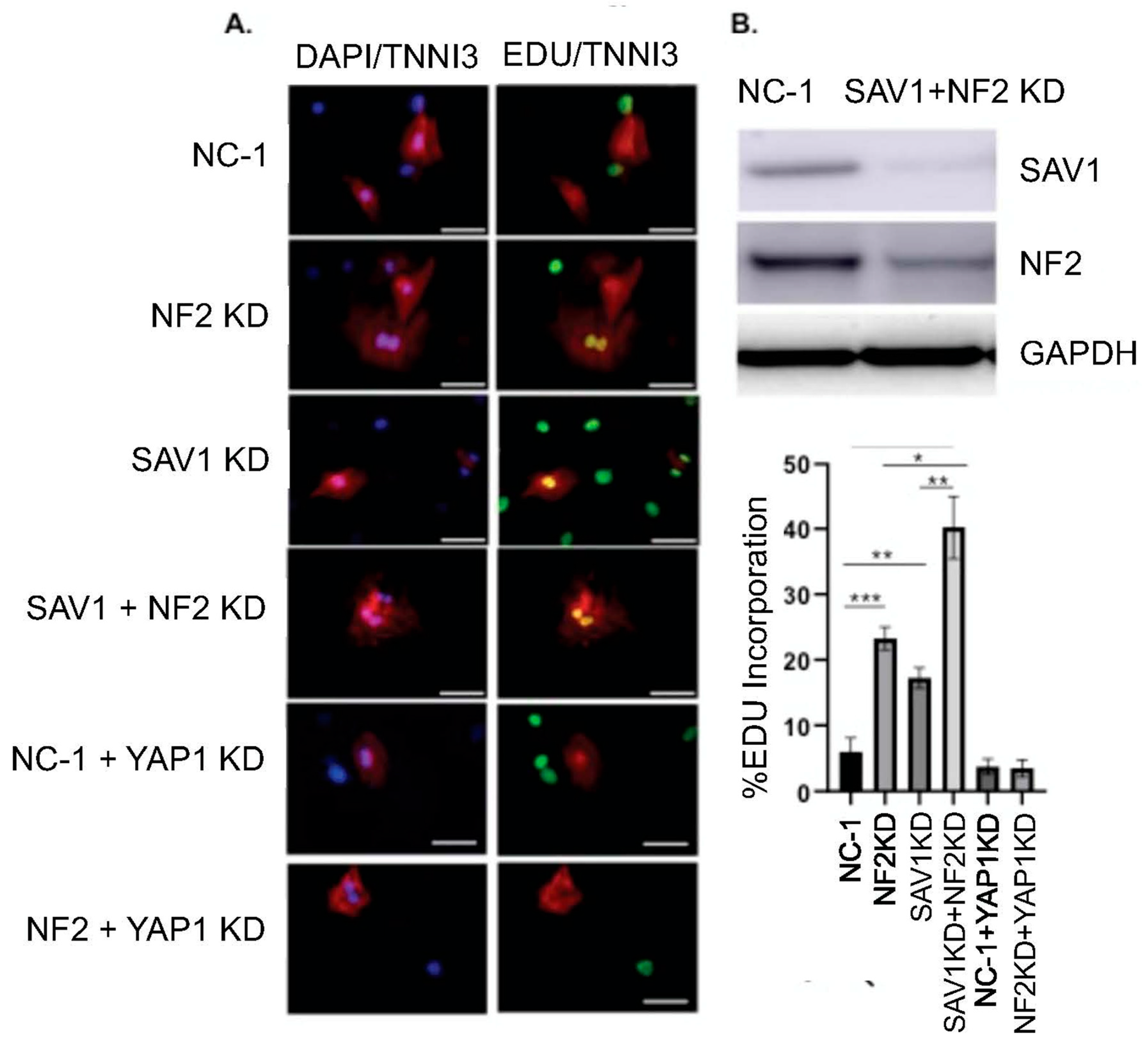Preprints 173133 g004