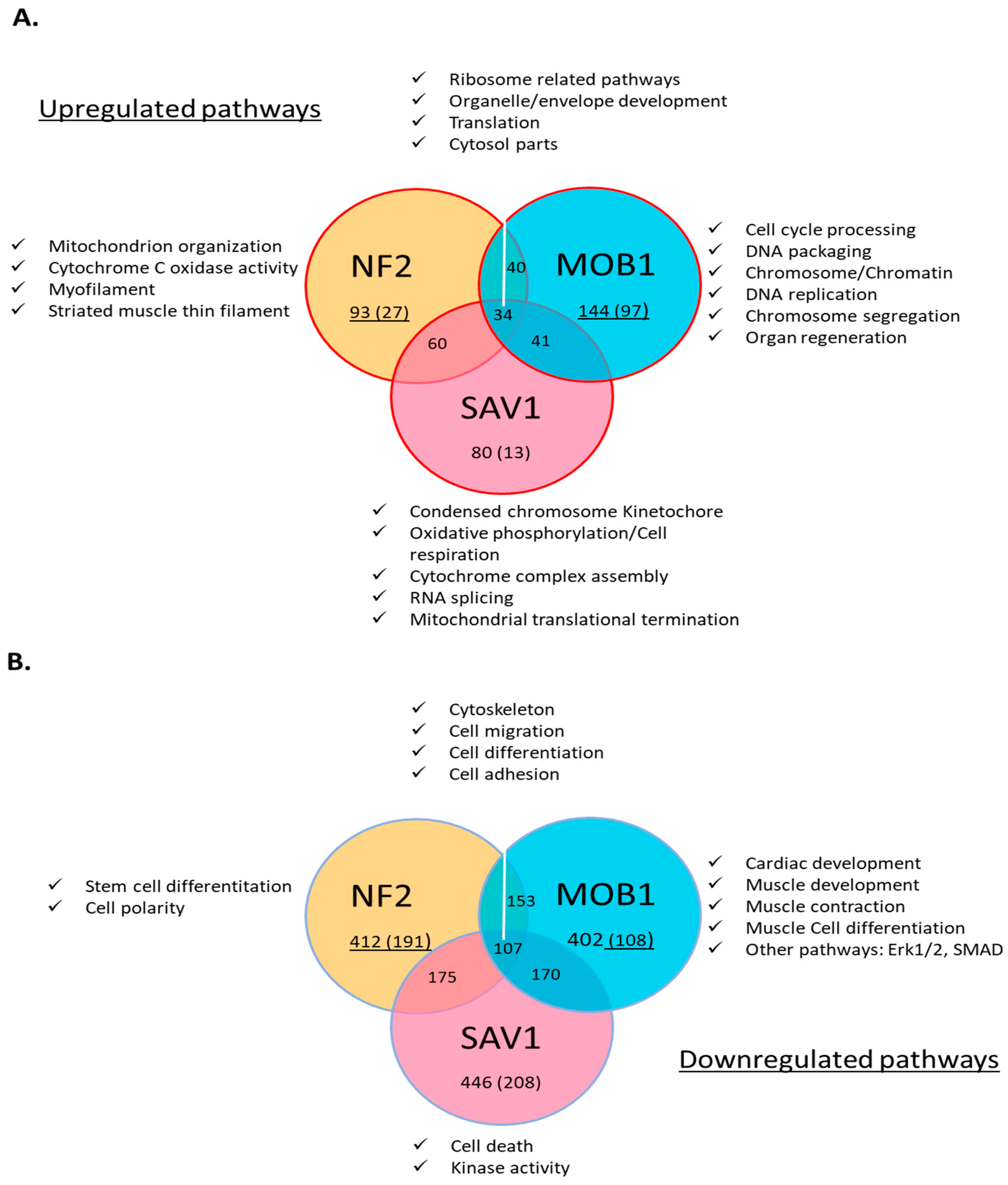 Preprints 173133 g006
