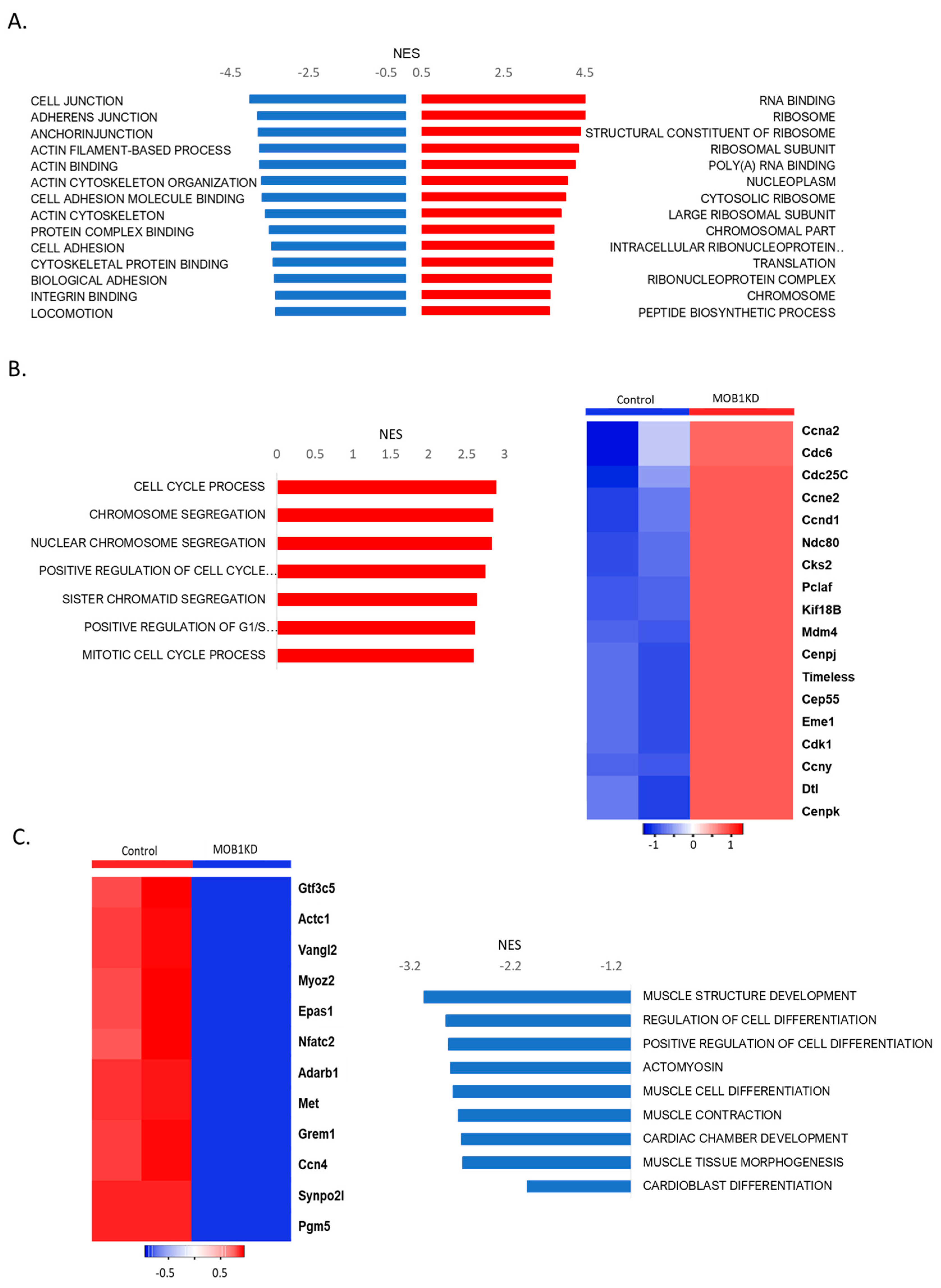 Preprints 173133 g007