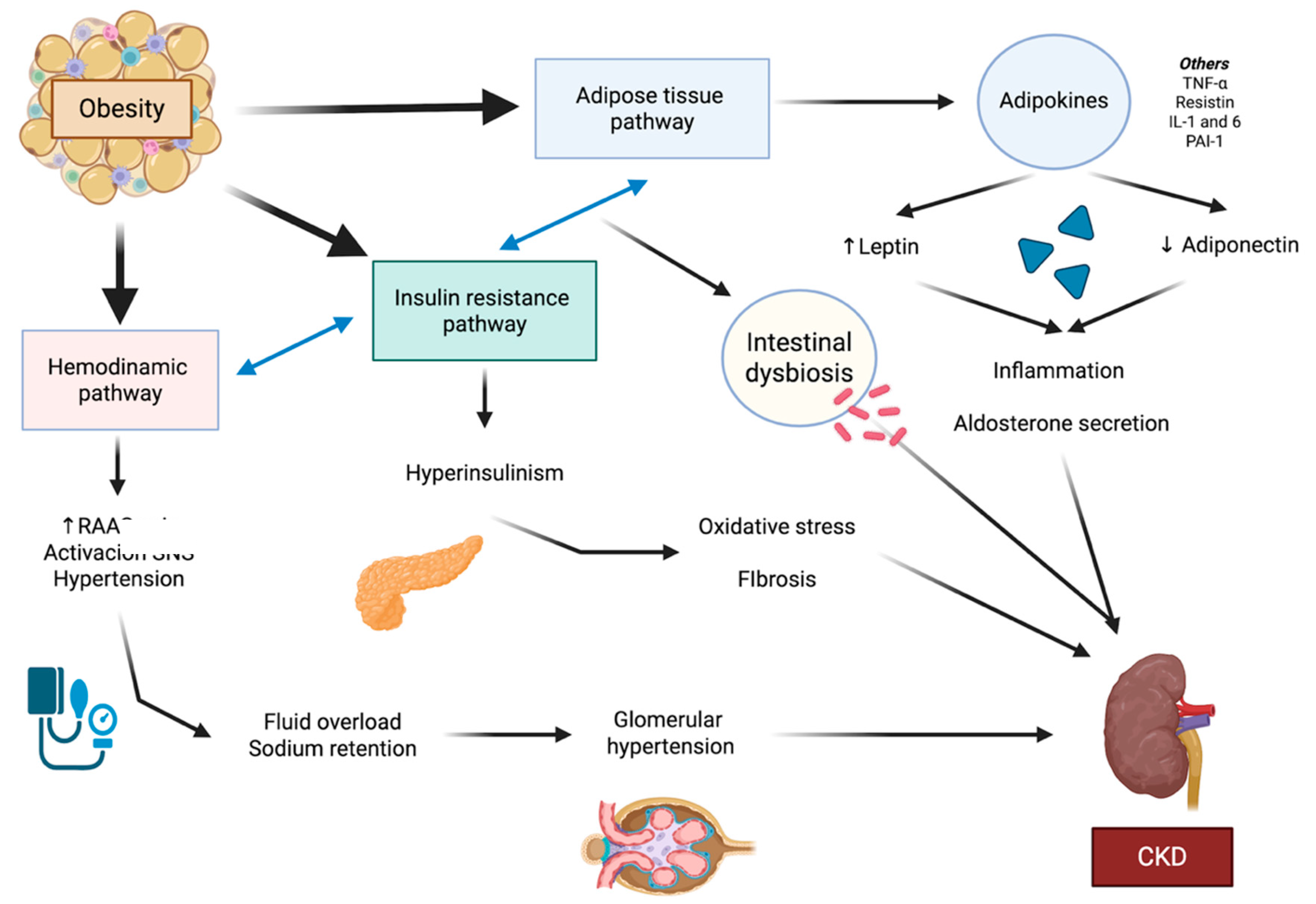 Preprints 160964 g001