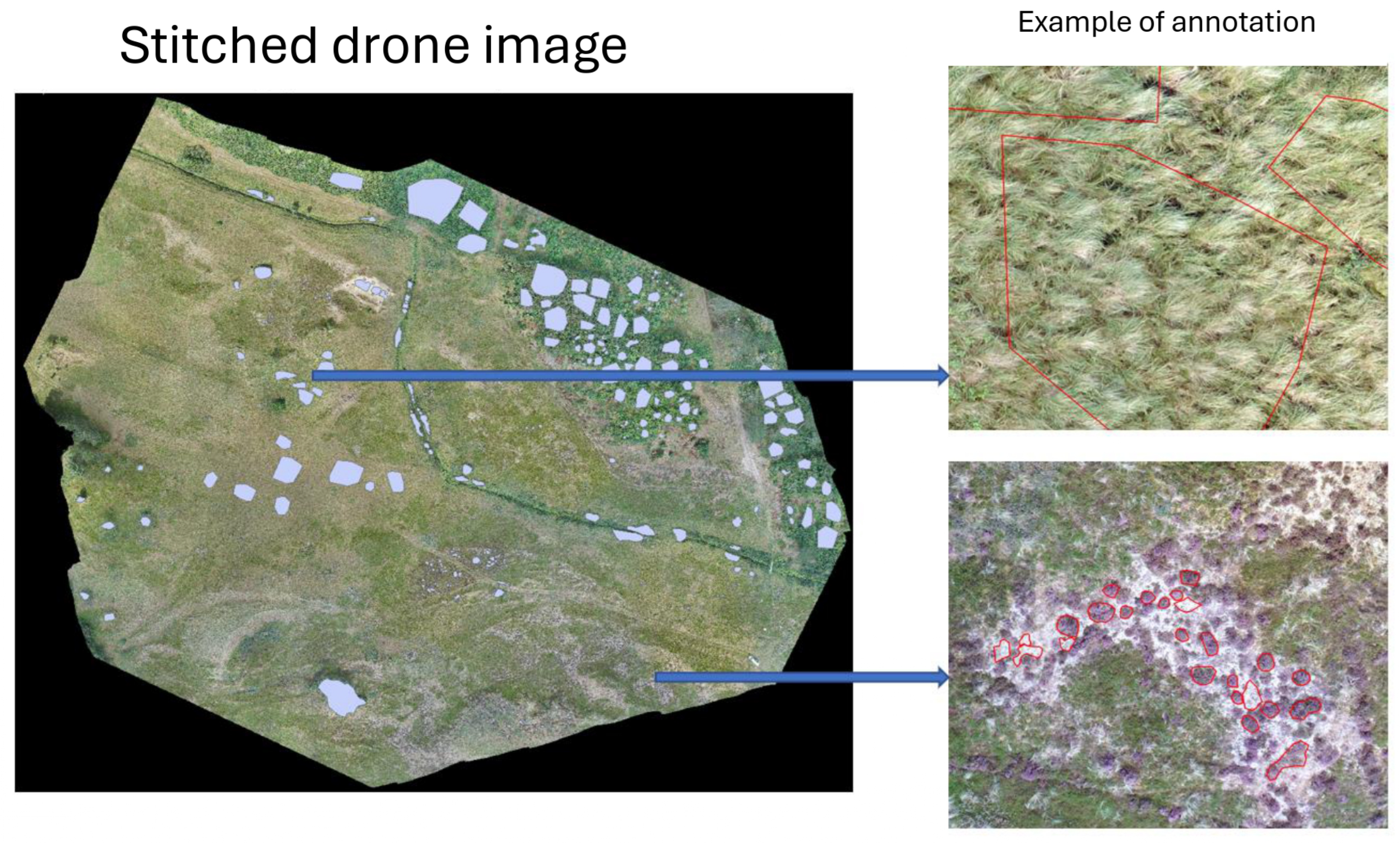 Preprints 189618 g002