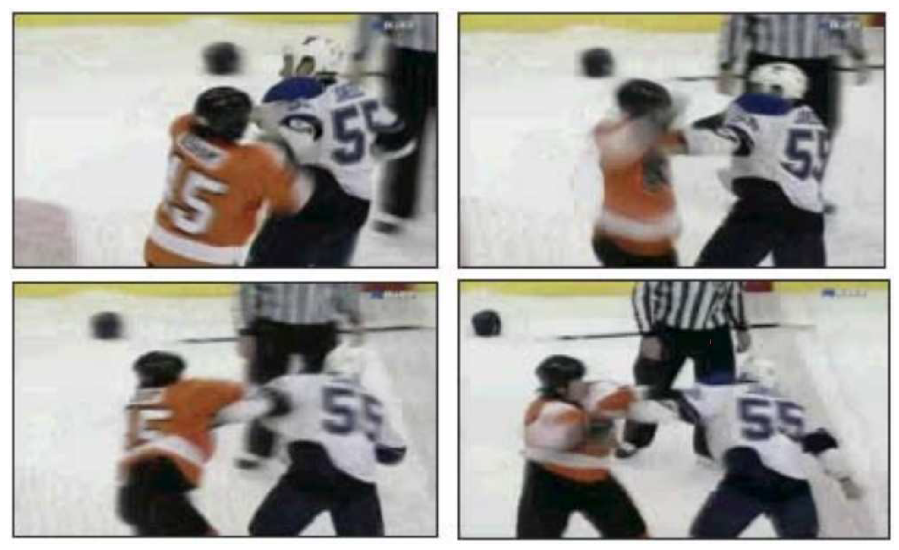 Preprints 89418 g009