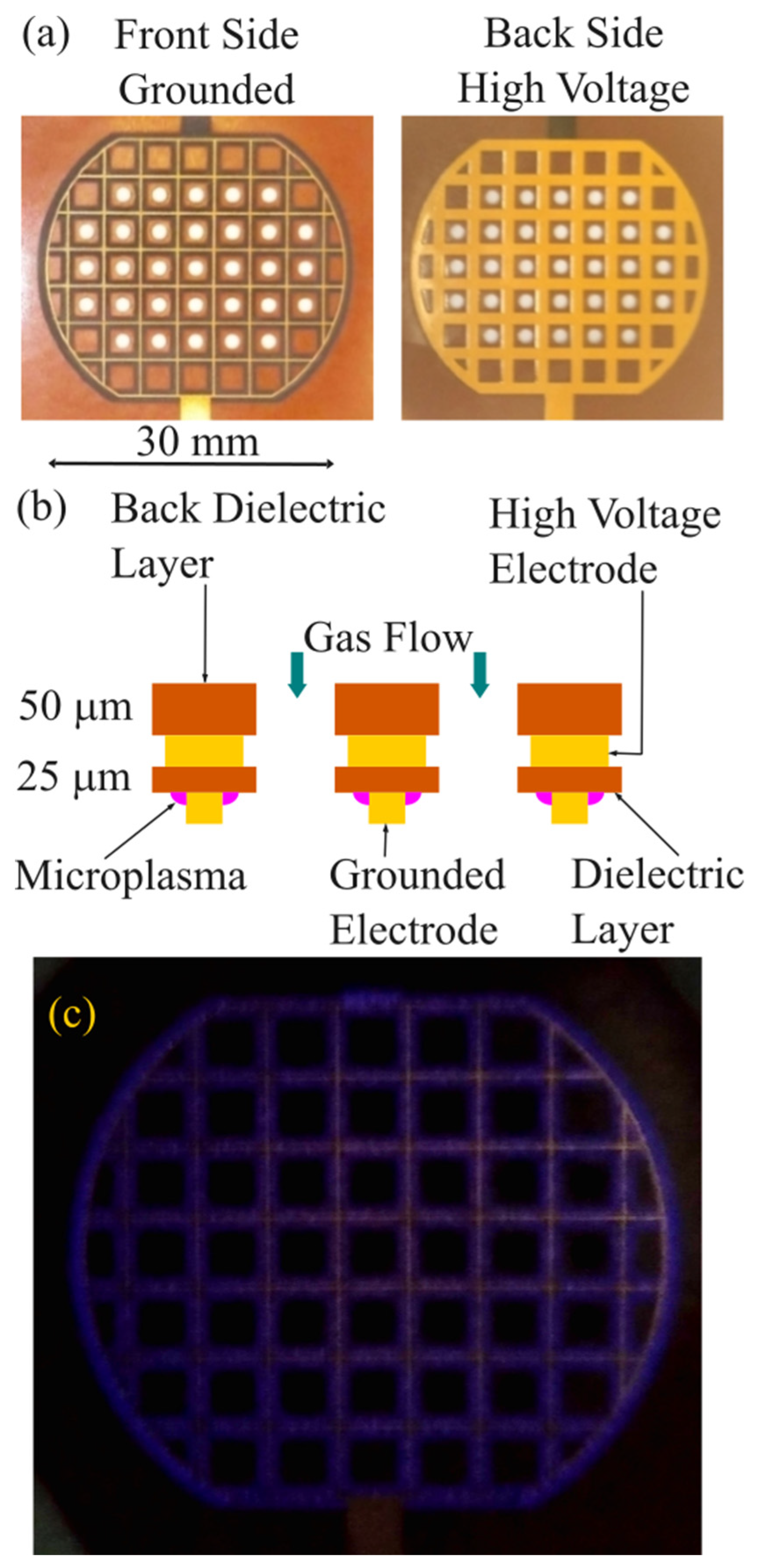 Preprints 141318 g002