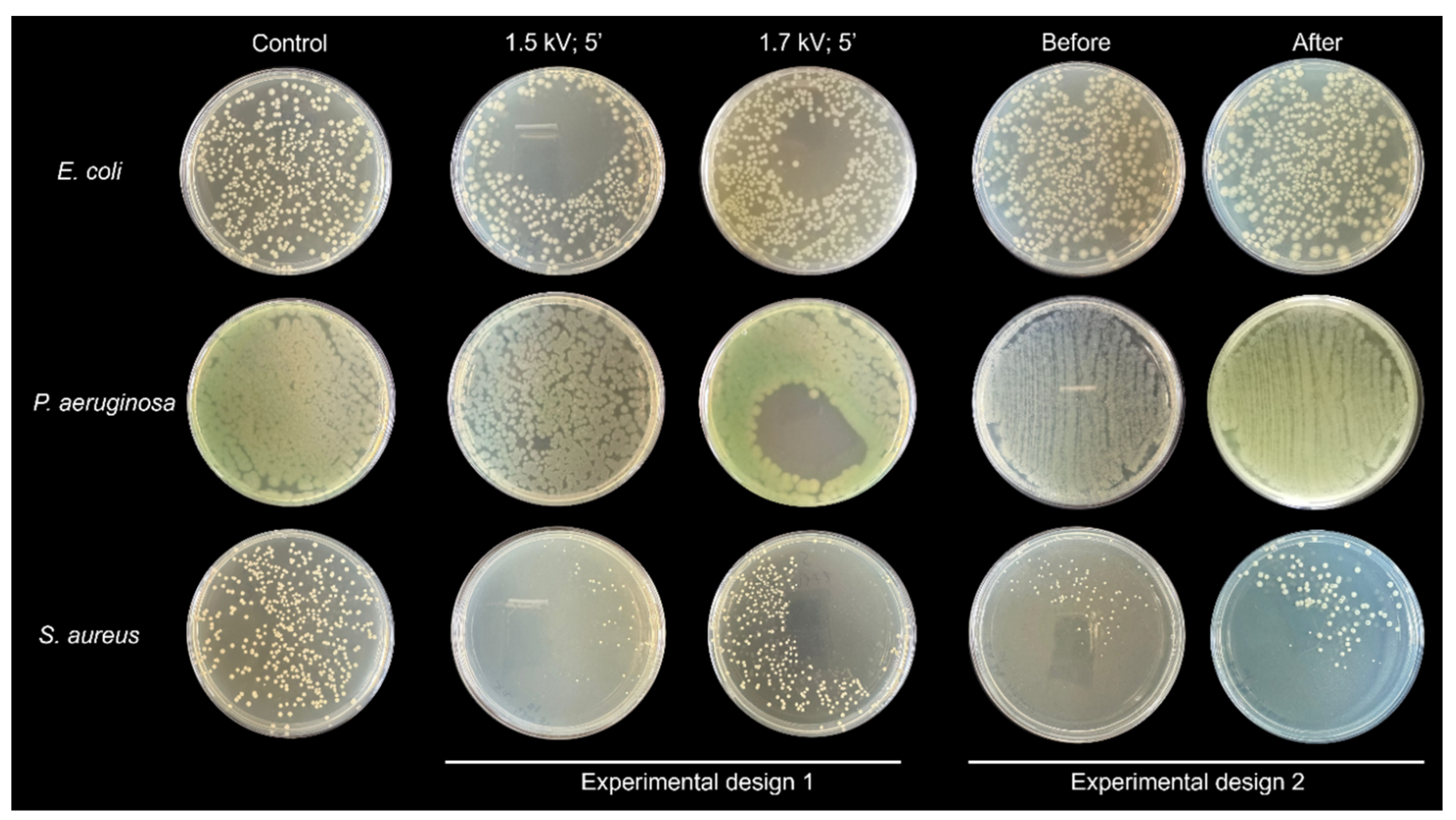 Preprints 141318 g005