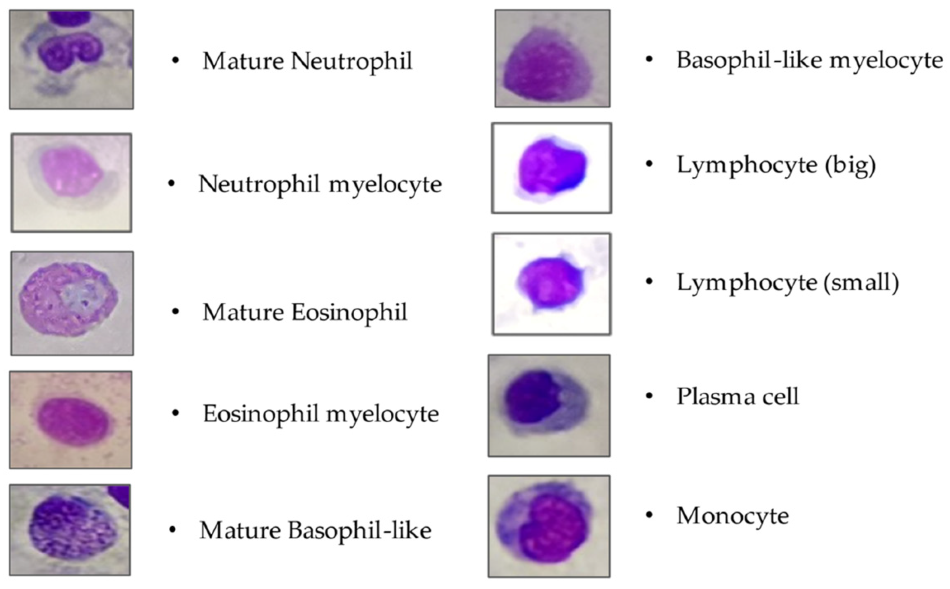 Preprints 81339 g002