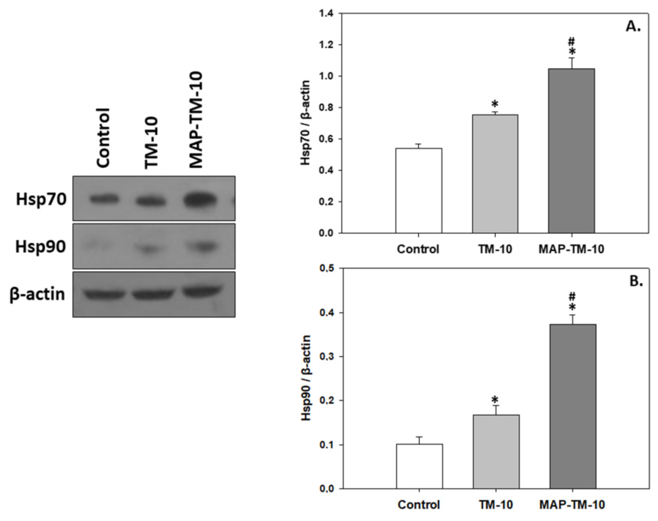 Preprints 81339 g004