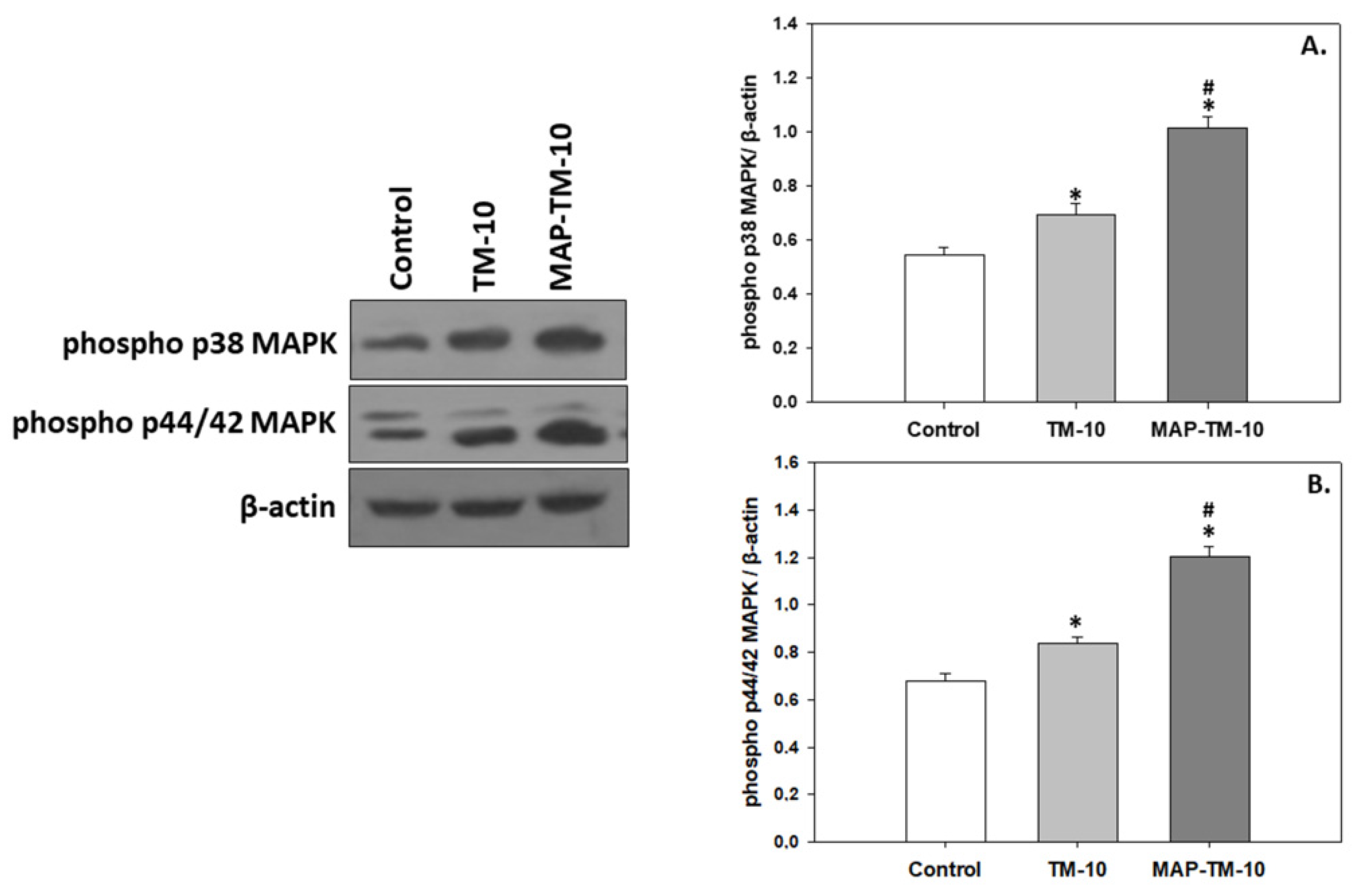 Preprints 81339 g005
