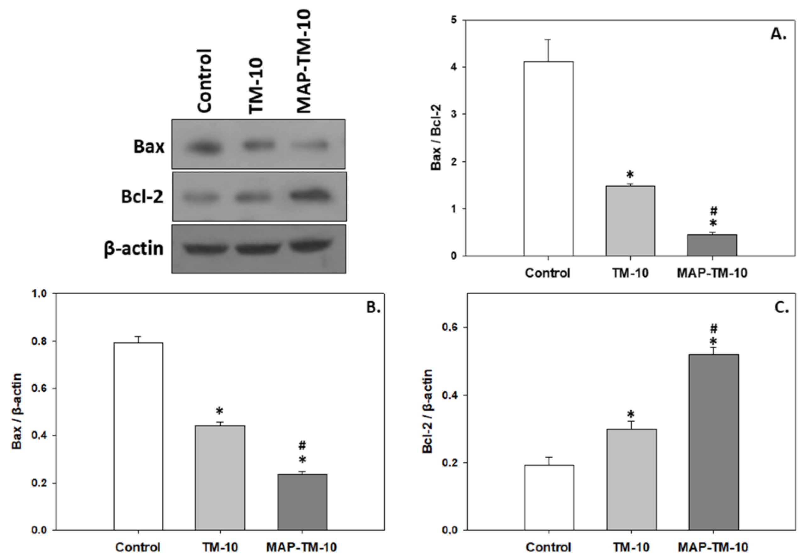 Preprints 81339 g006