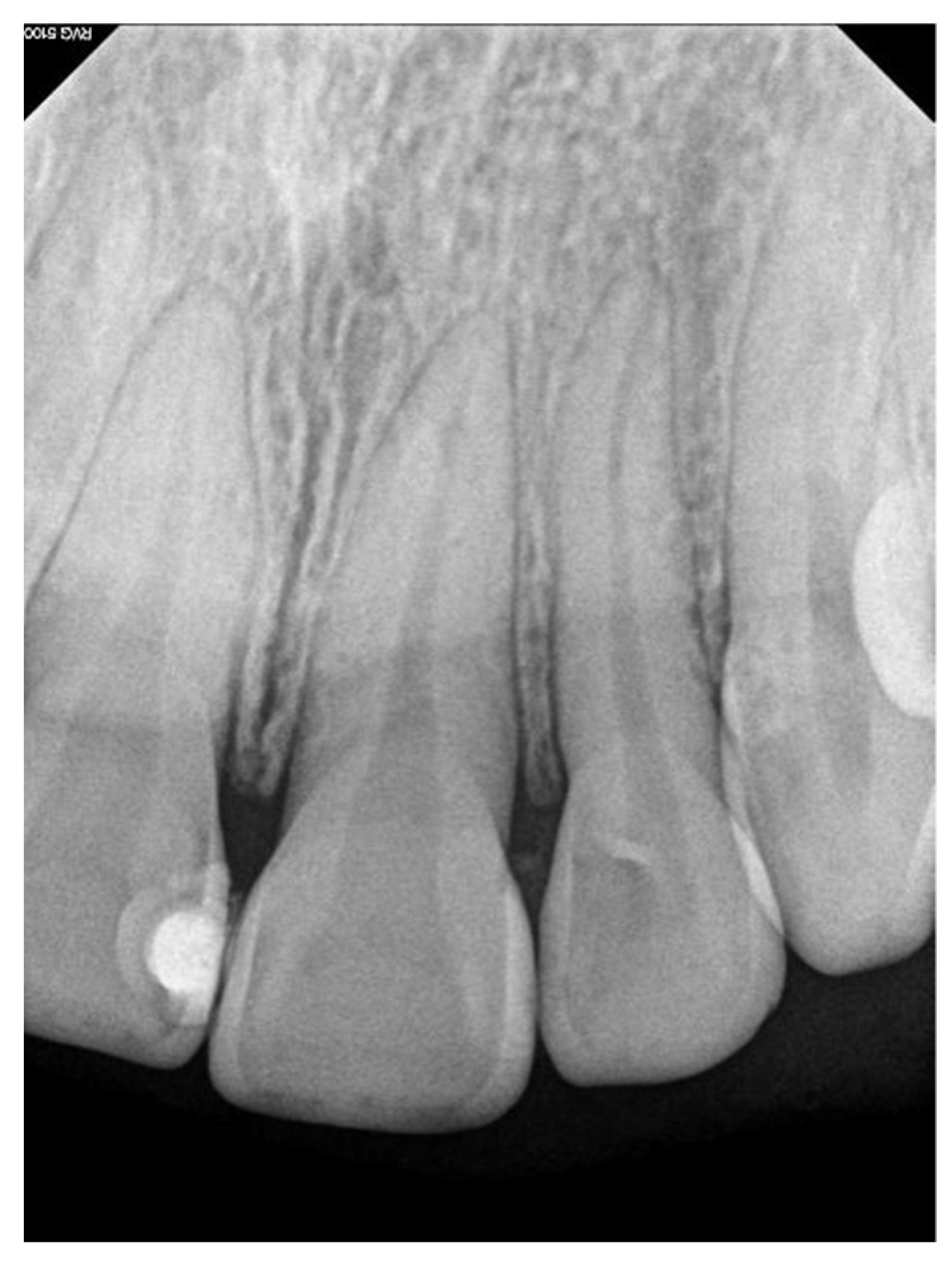 Preprints 86532 g002