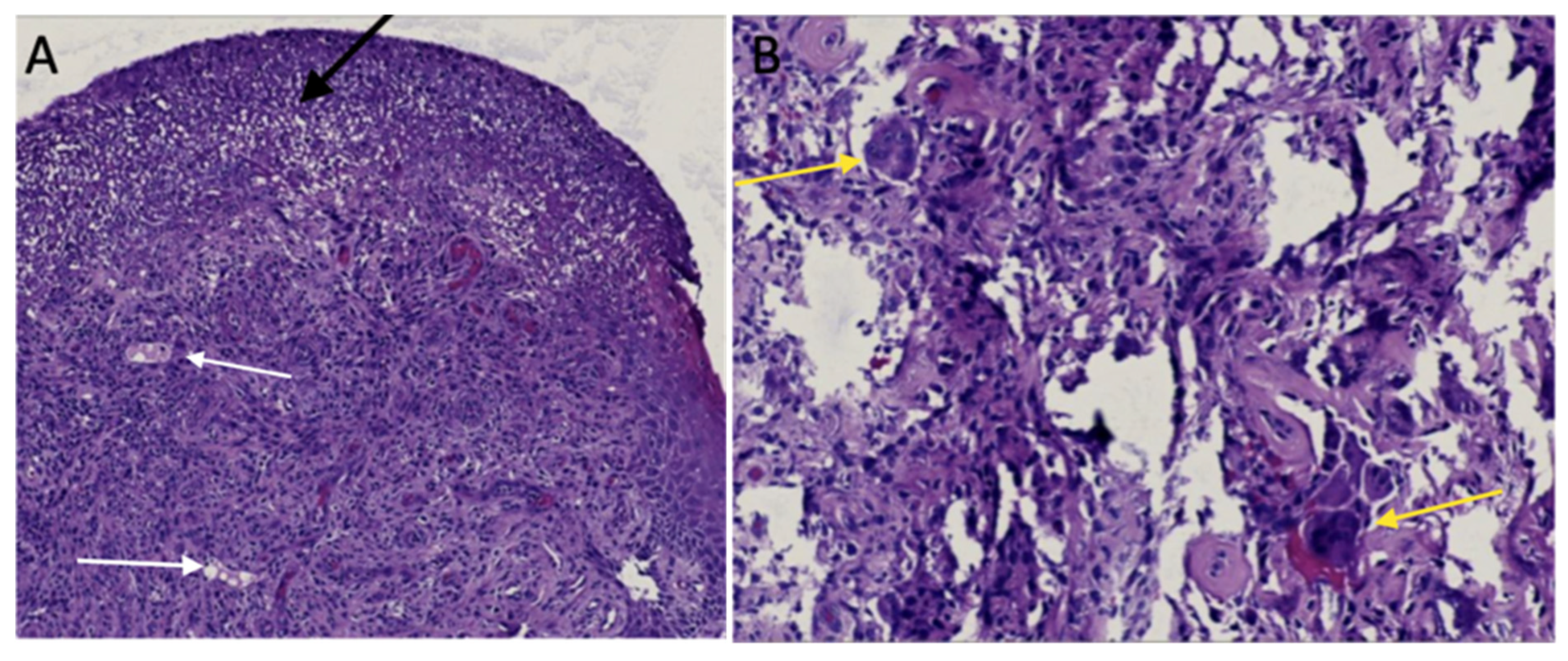 Preprints 86532 g005