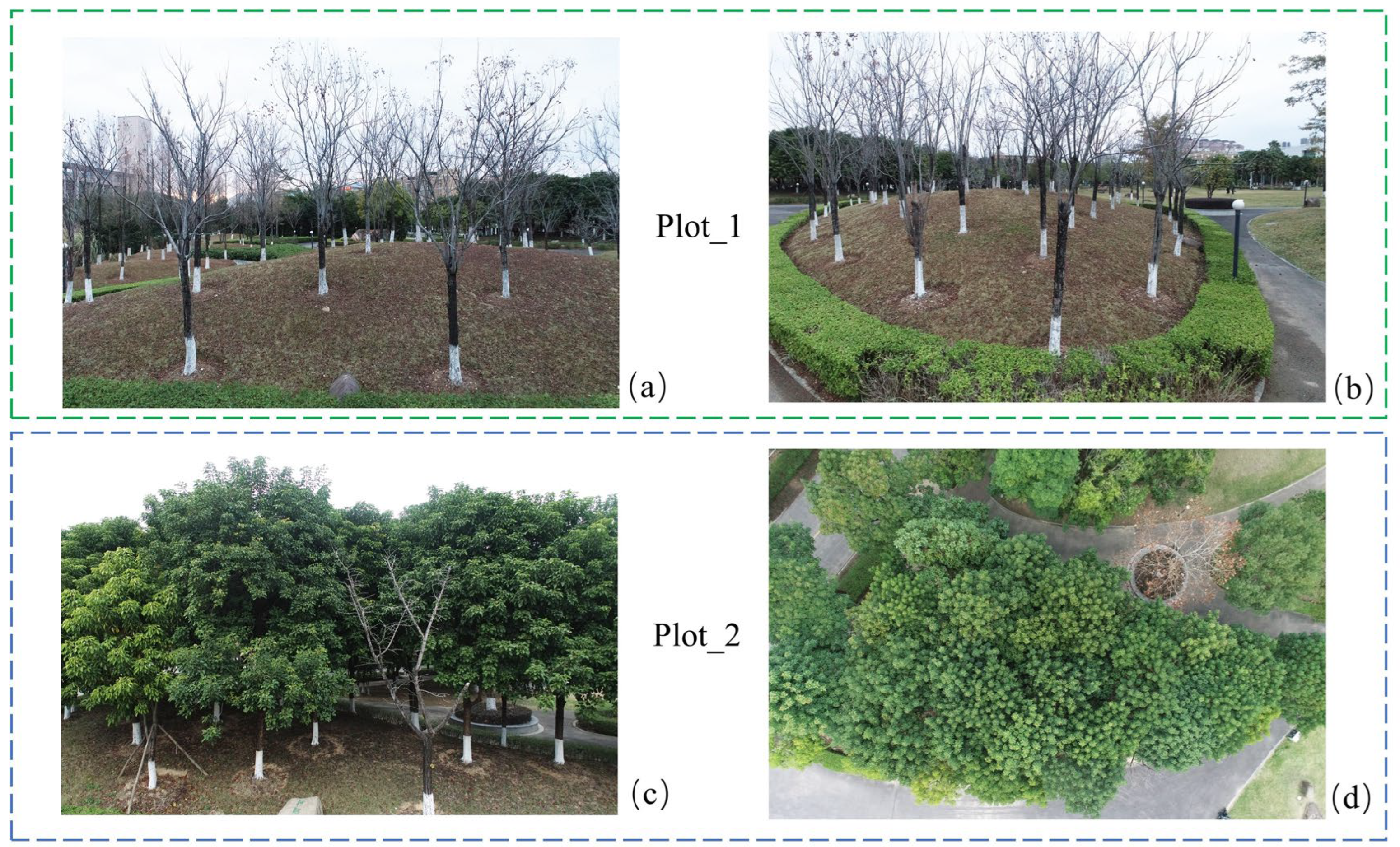 Preprints 155592 g001
