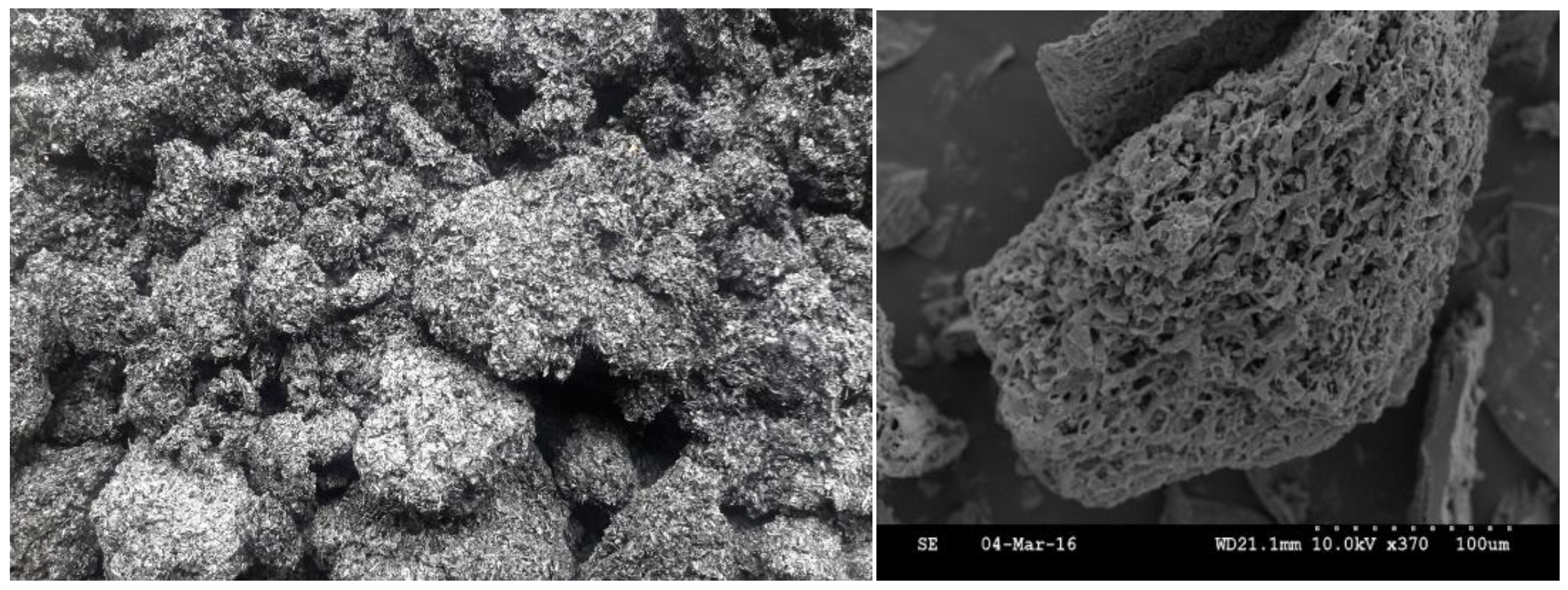 Preprints 174450 g001