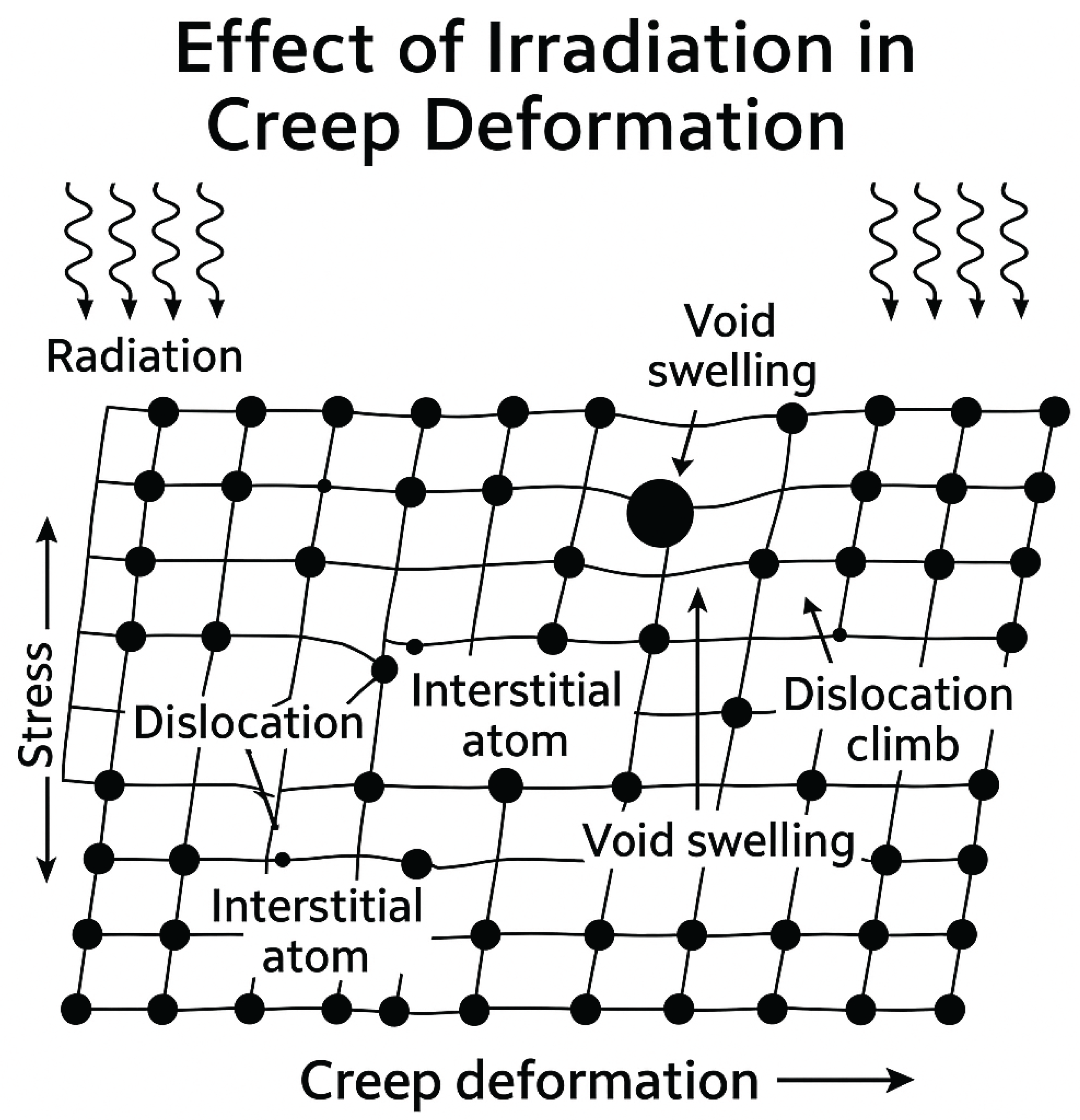 Preprints 175672 g049