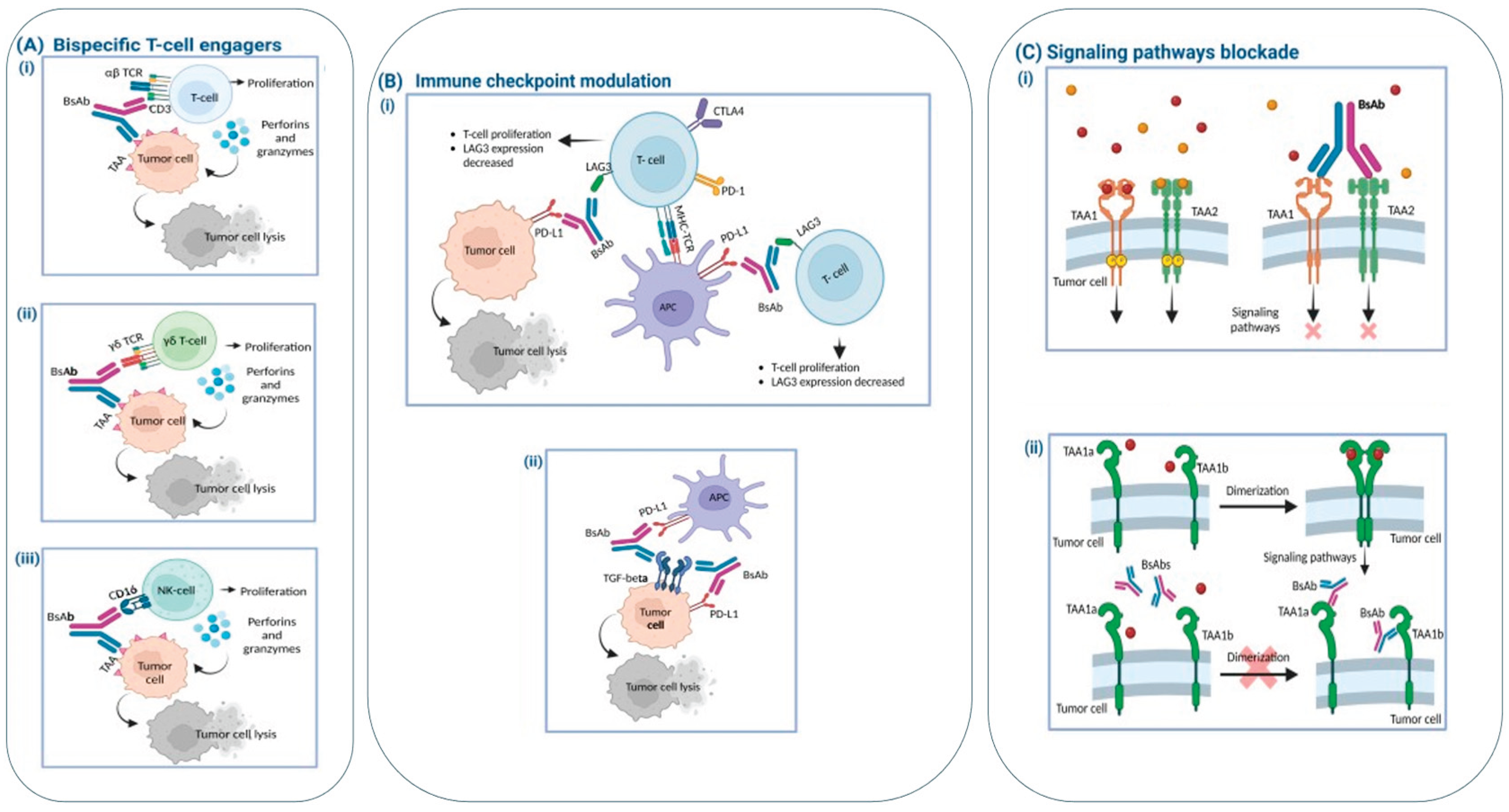 Preprints 192643 g003