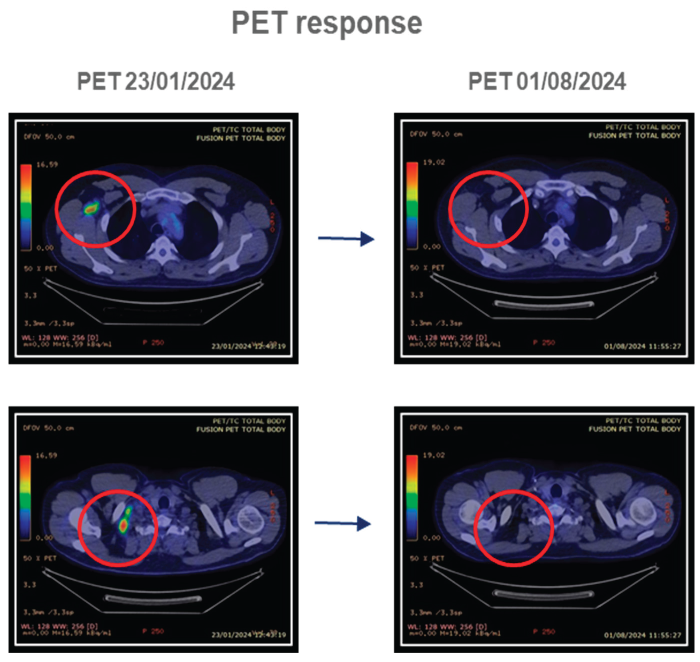 Preprints 192643 g006