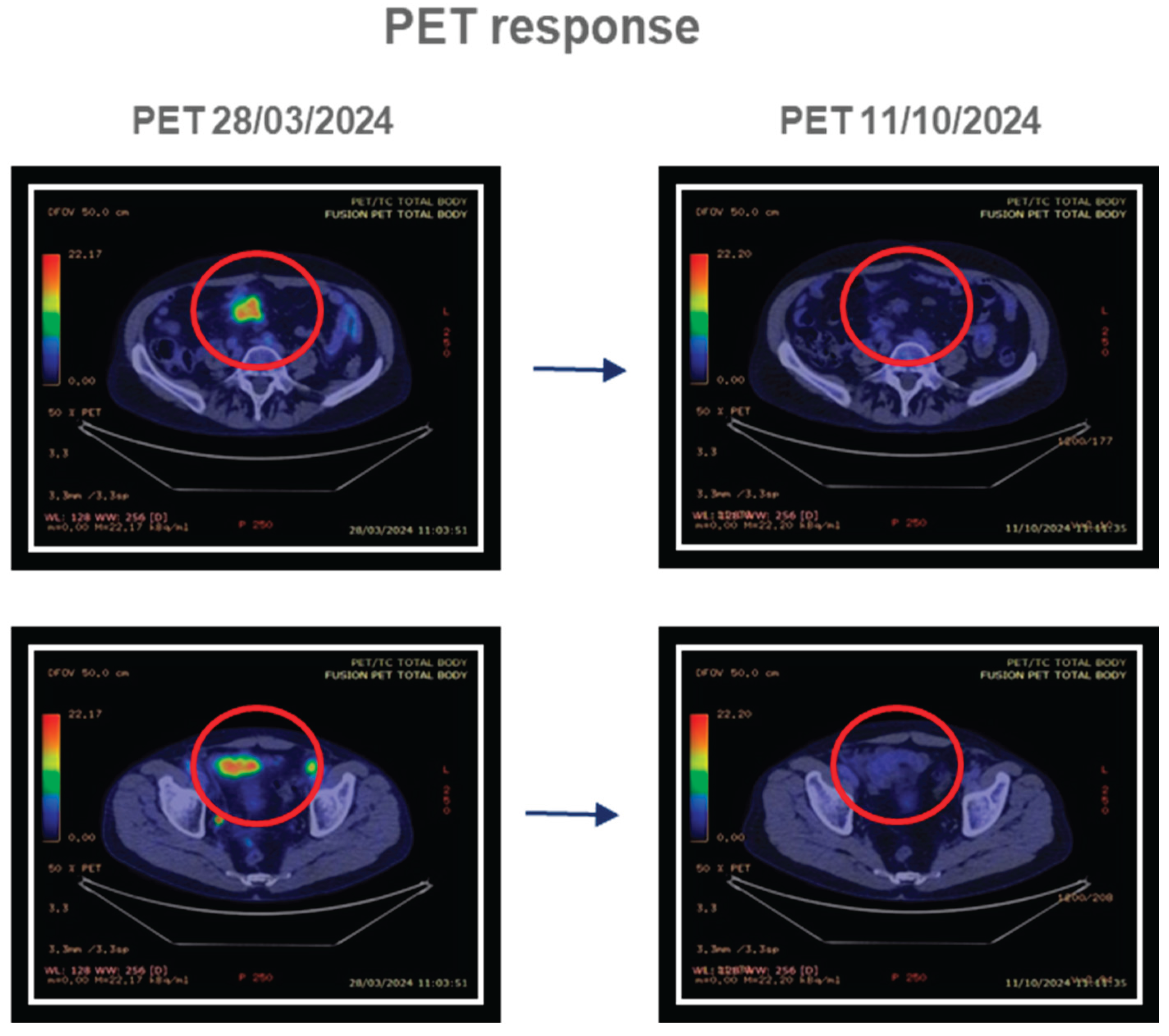 Preprints 192643 g007