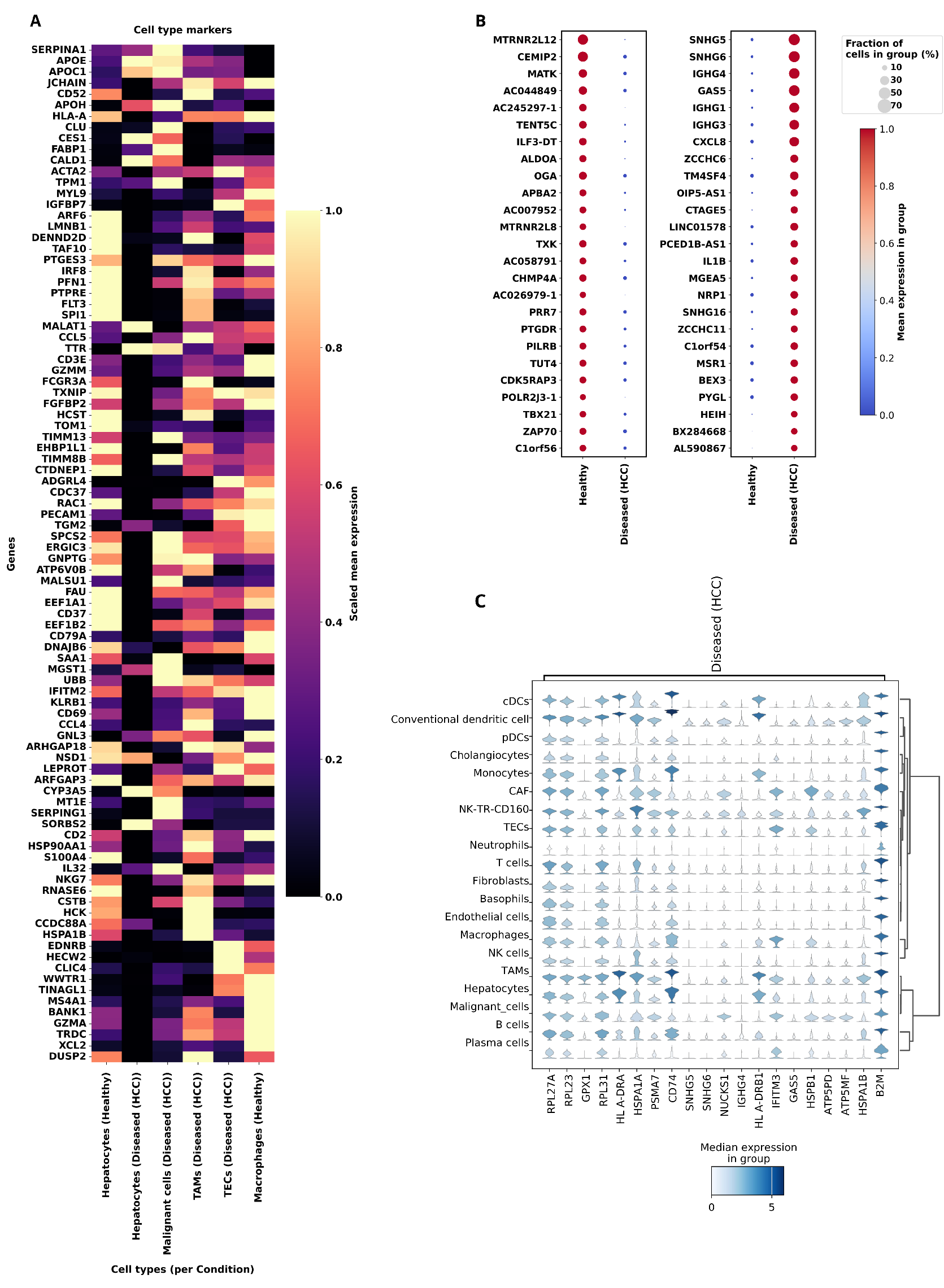 Preprints 204713 g004