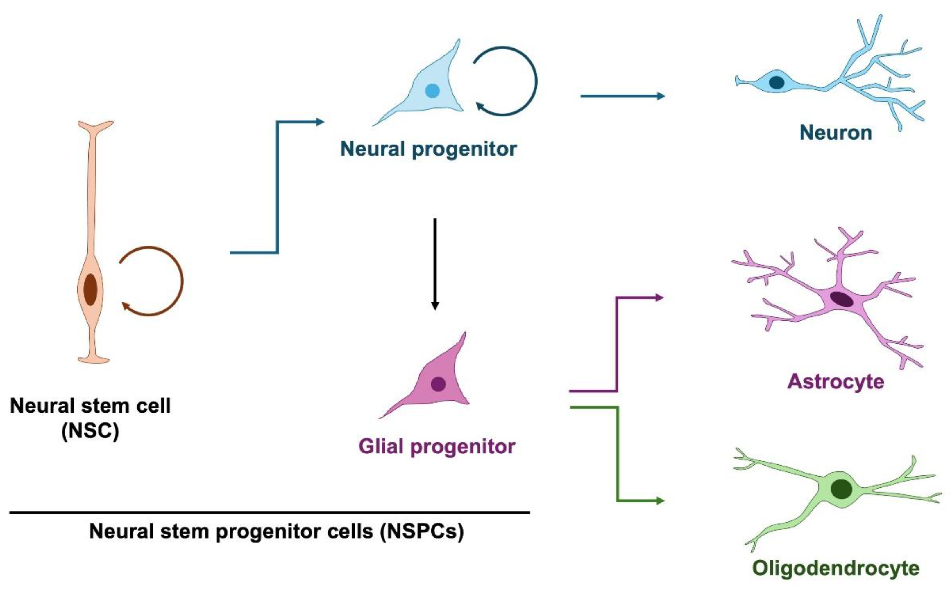 Preprints 180452 g001