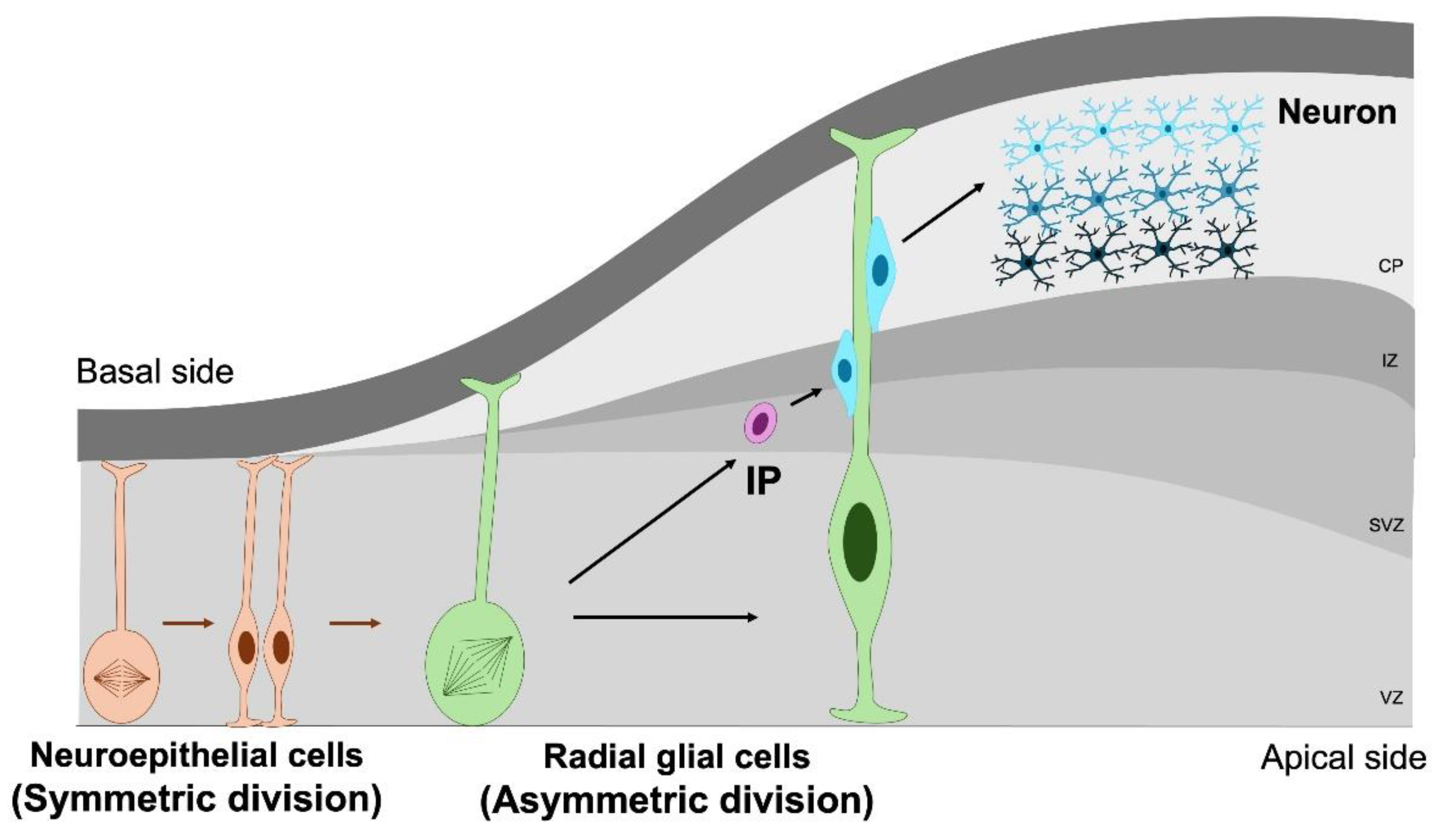 Preprints 180452 g003
