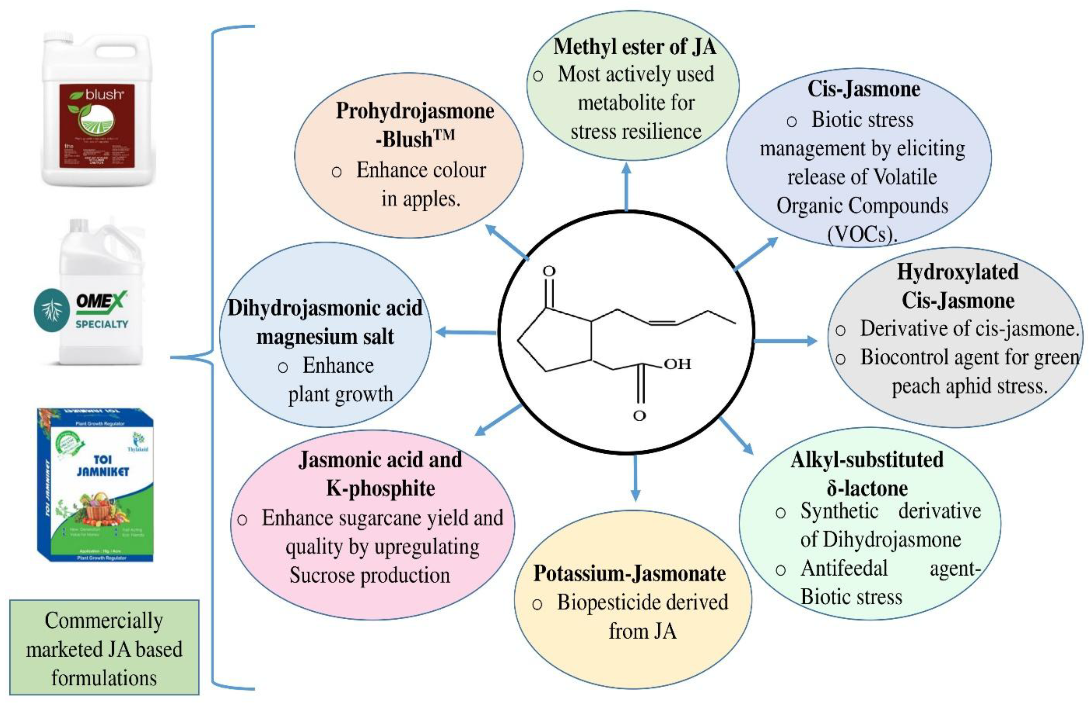 Preprints 180811 g001
