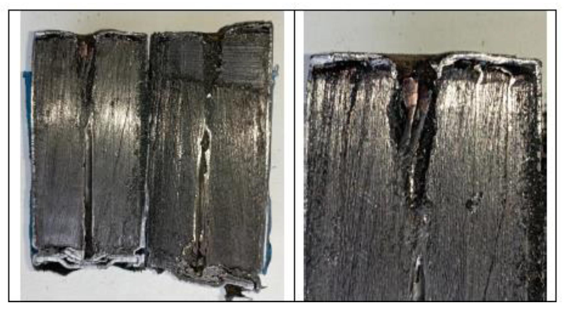 Preprints 148145 g019