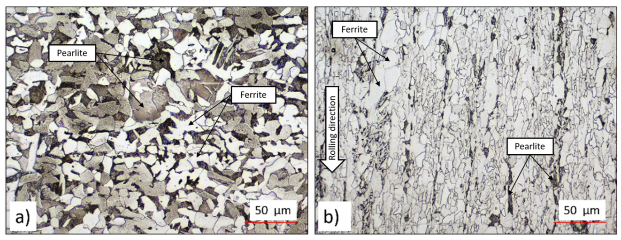Preprints 109362 g001