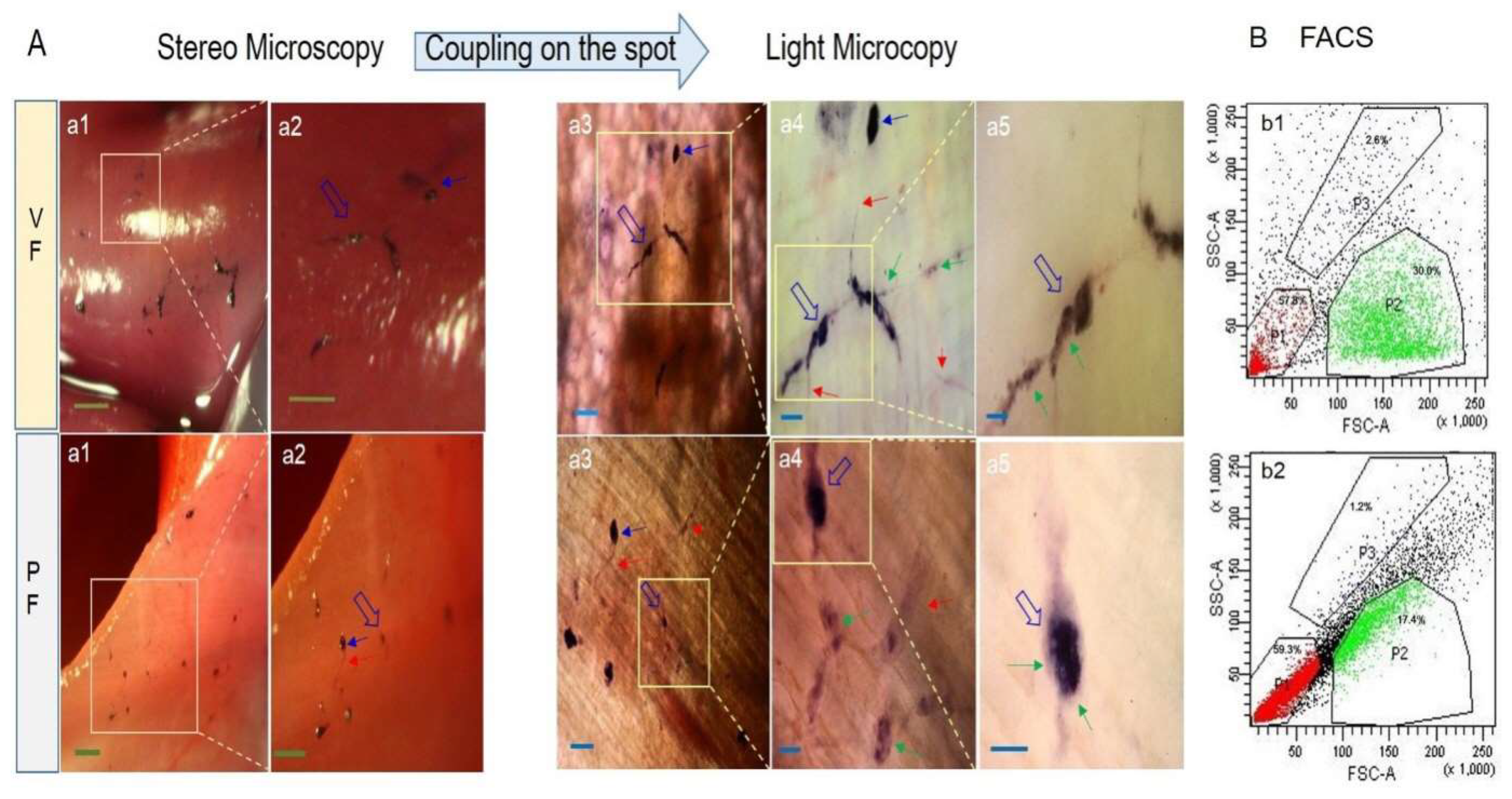 Preprints 70661 g002