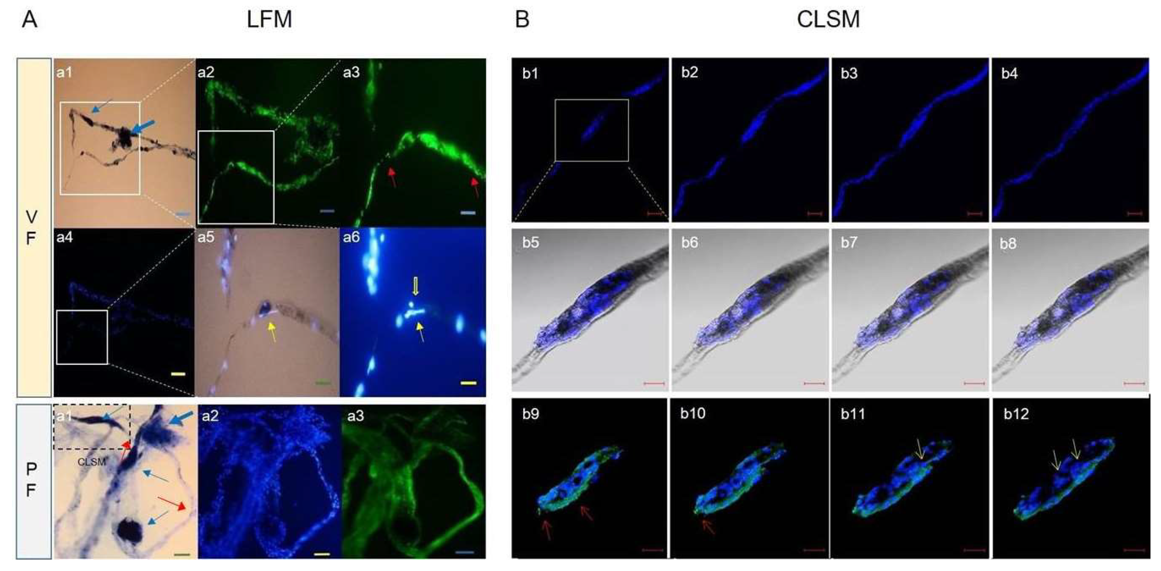 Preprints 70661 g005