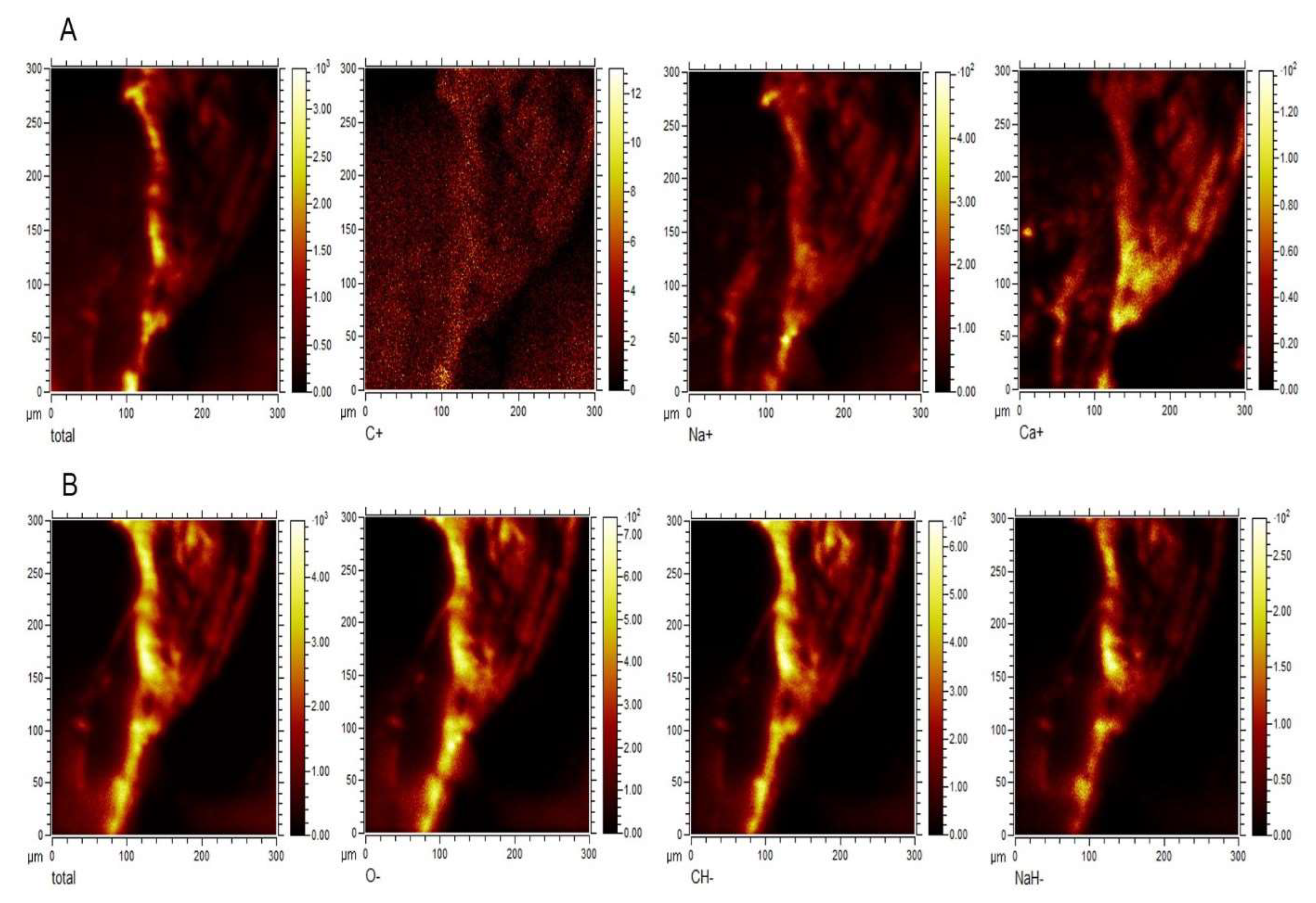 Preprints 70661 g006