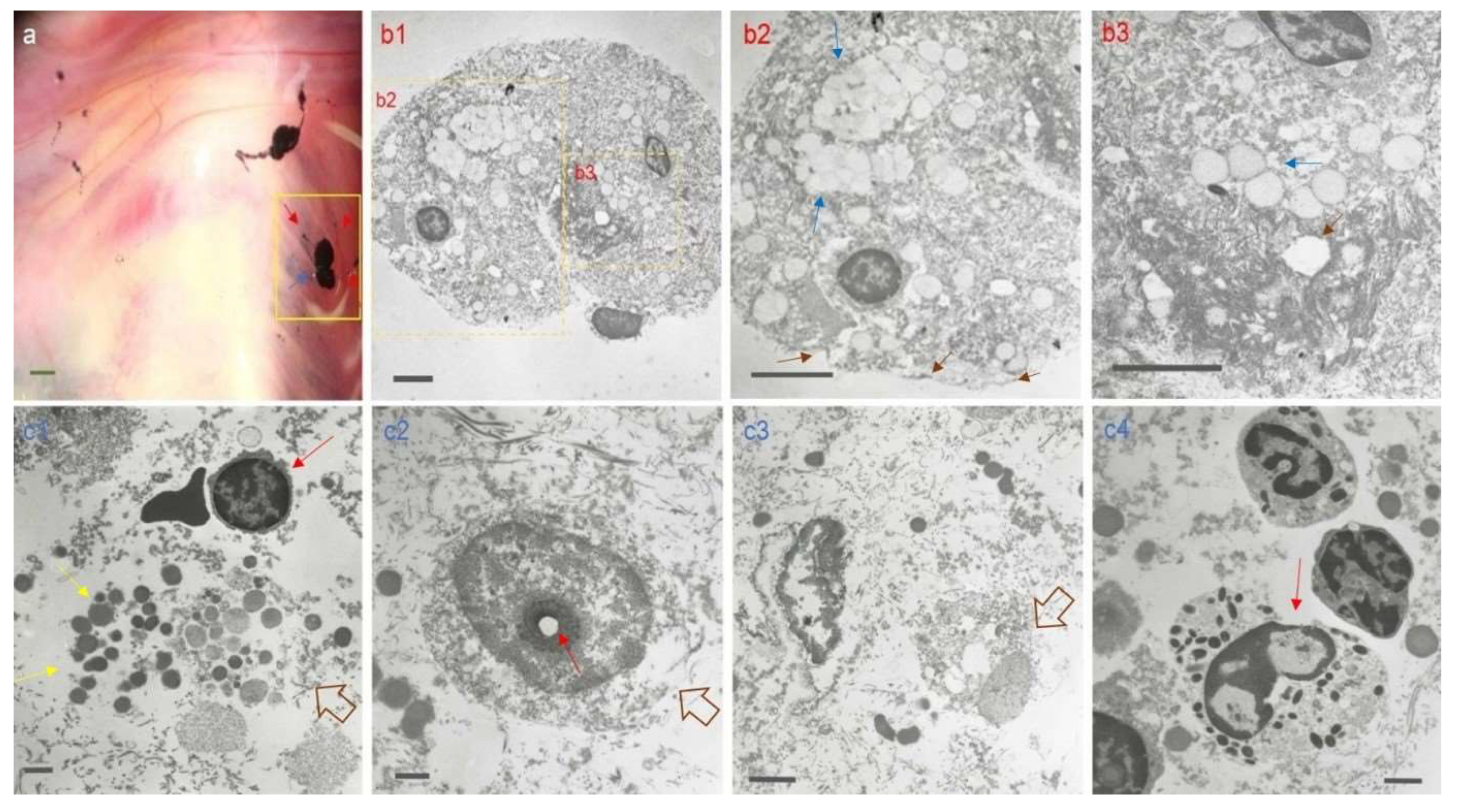 Preprints 70661 g007