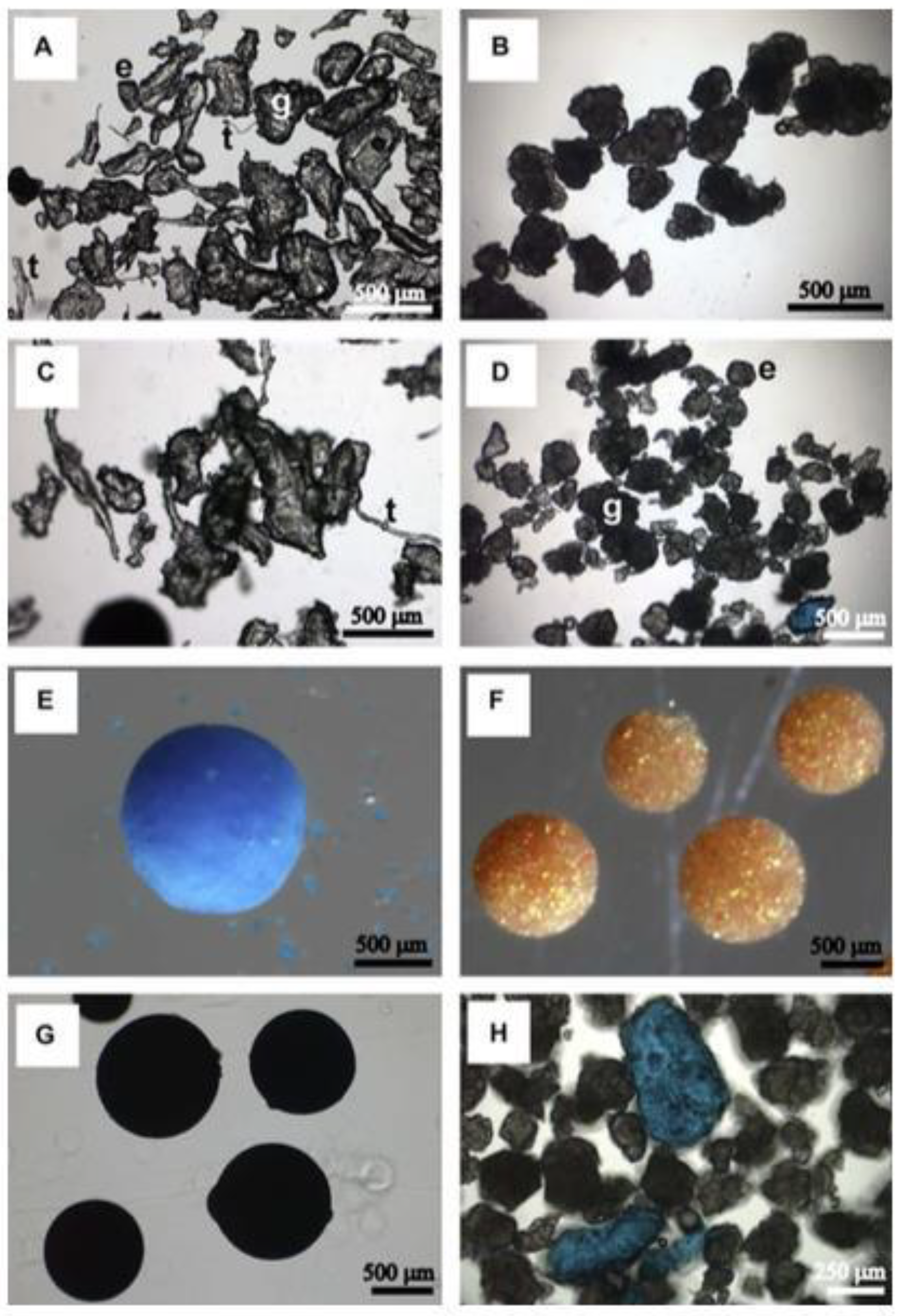 Preprints 175521 g001