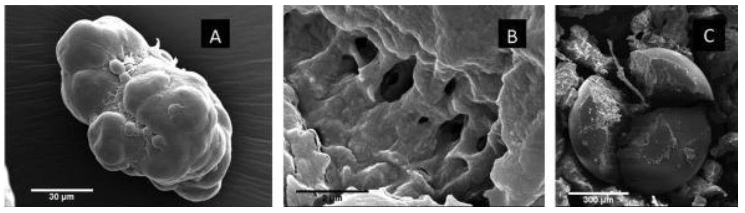 Preprints 175521 g002