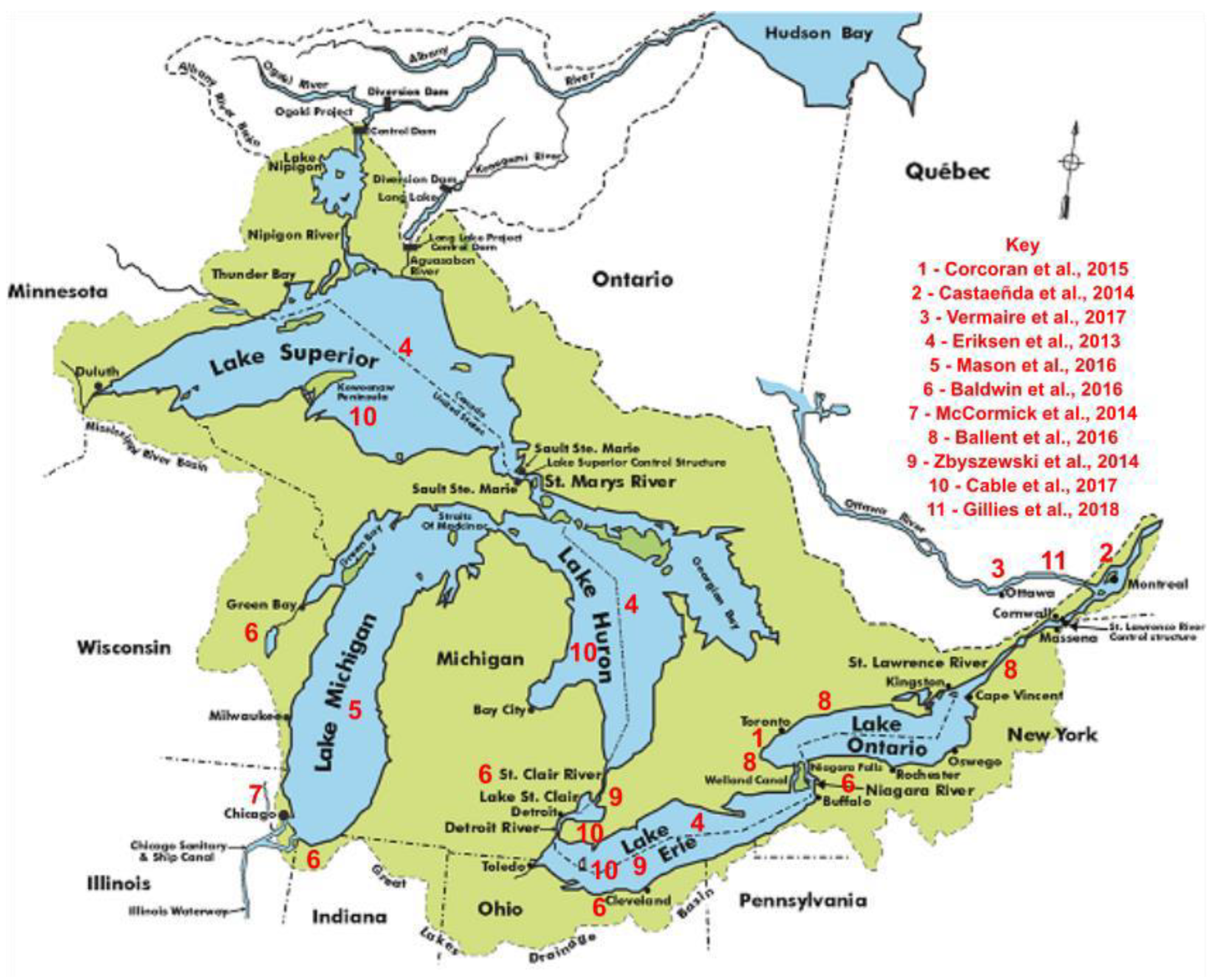 Preprints 175521 g003