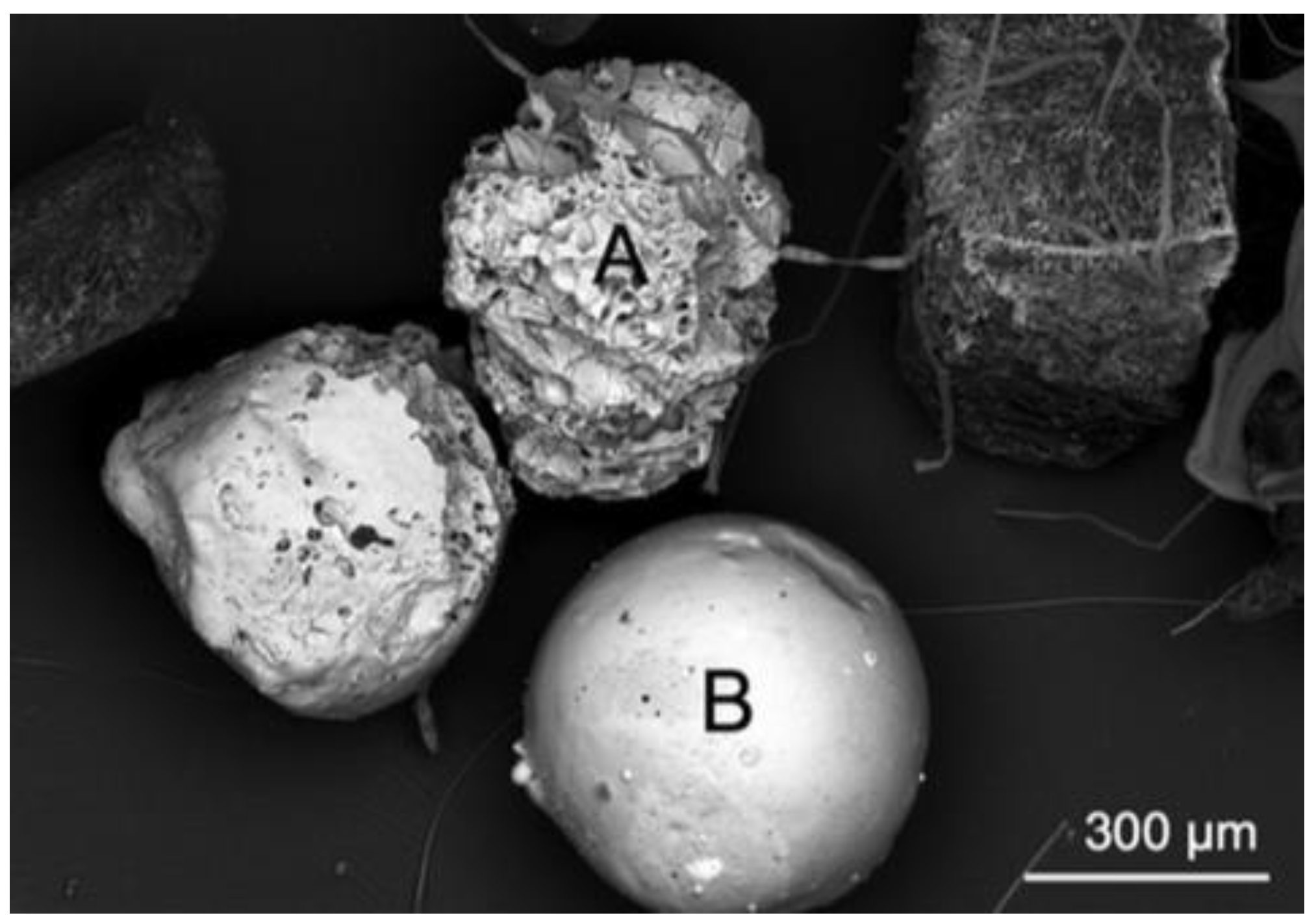 Preprints 175521 g006