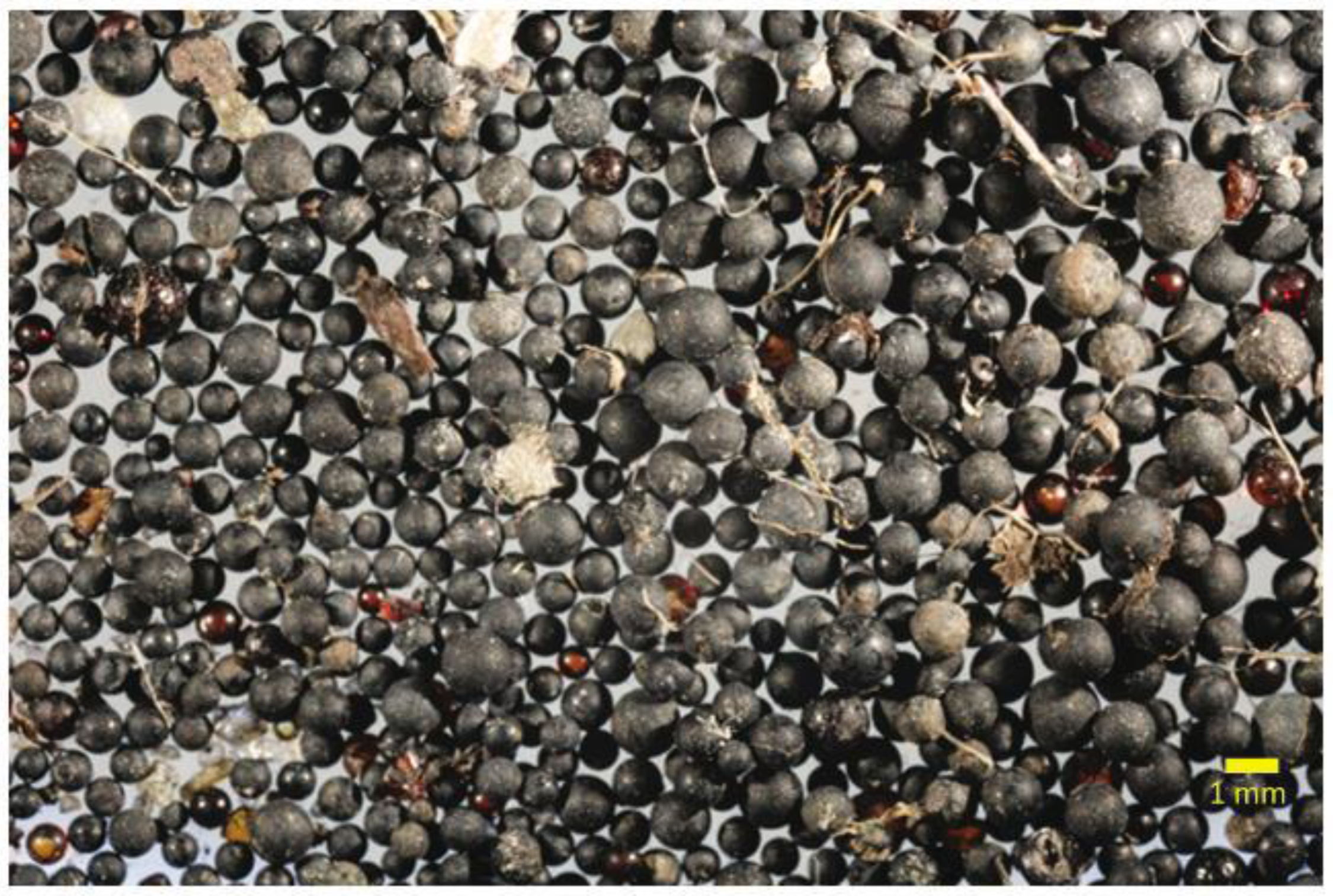 Preprints 175521 g008