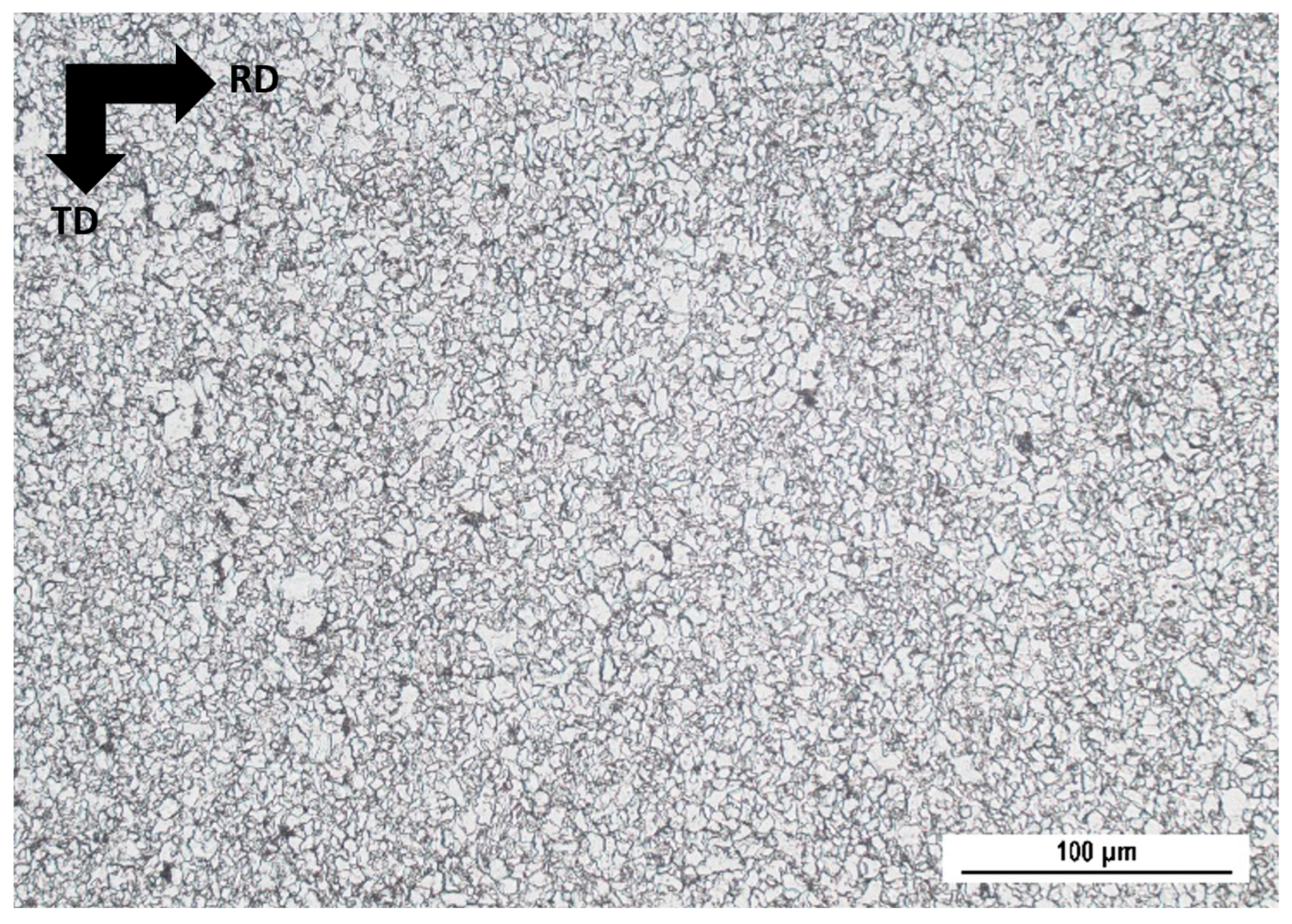 Preprints 194447 g003