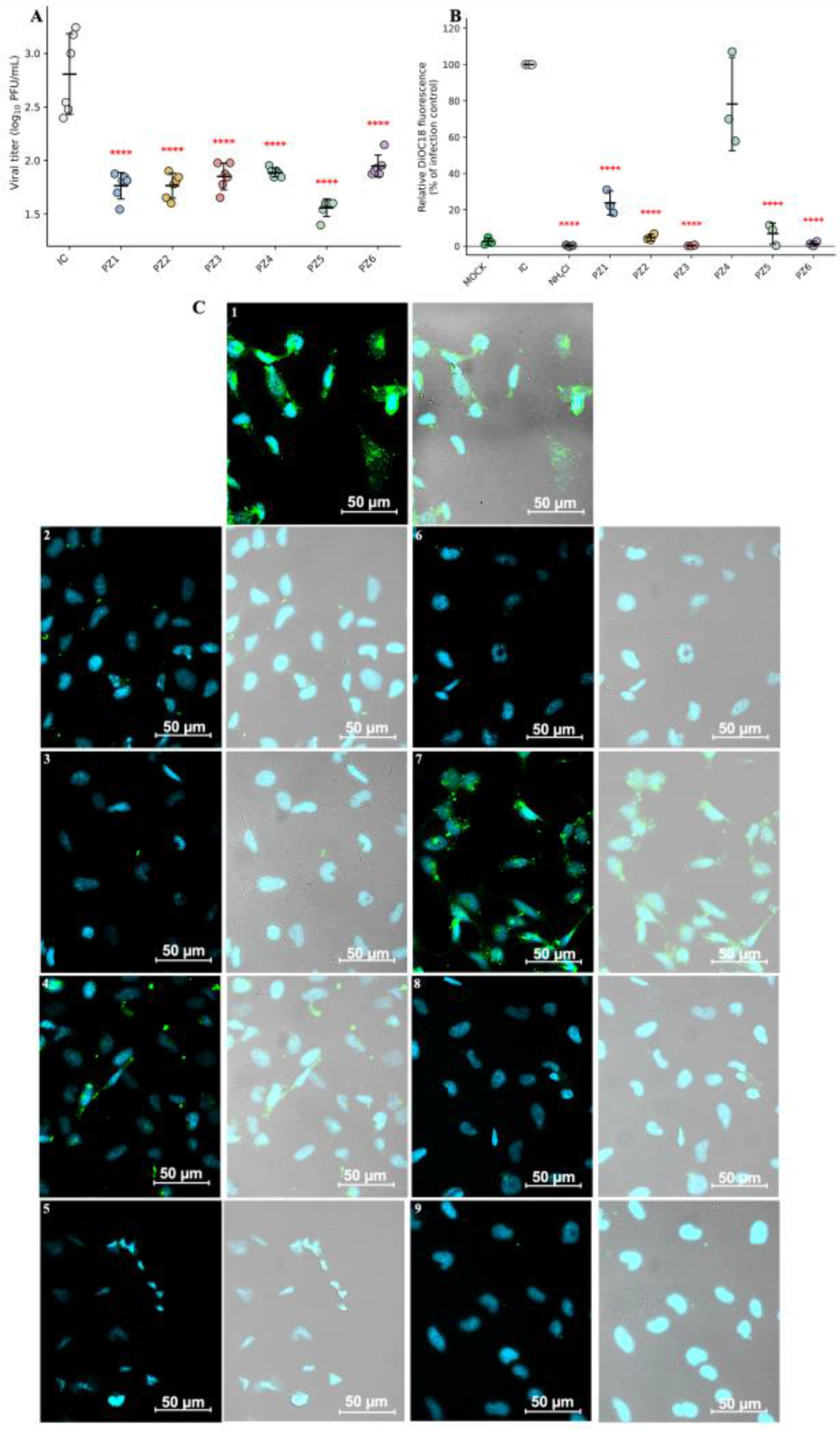 Preprints 230652 g004 Preprints 230652 g004