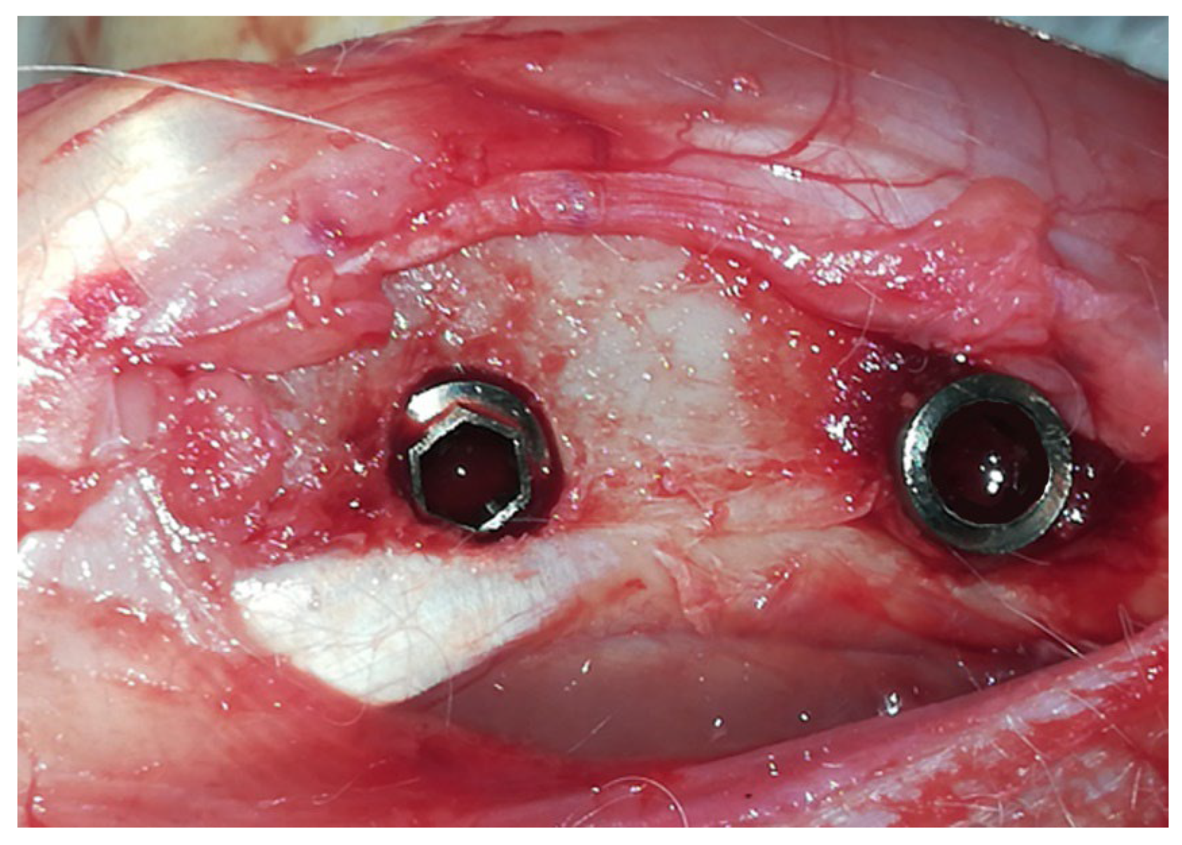 Preprints 121678 g003