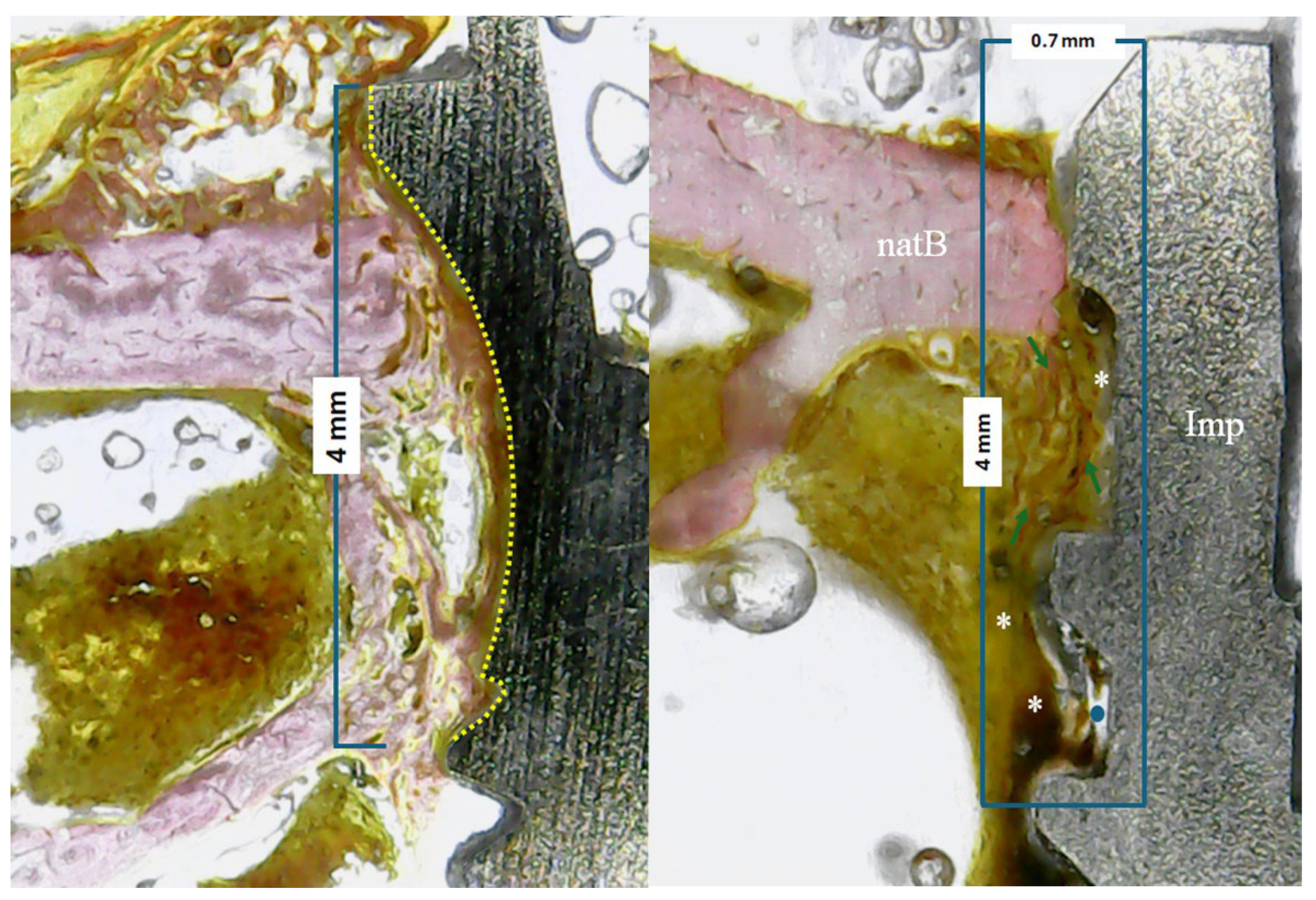 Preprints 121678 g004
