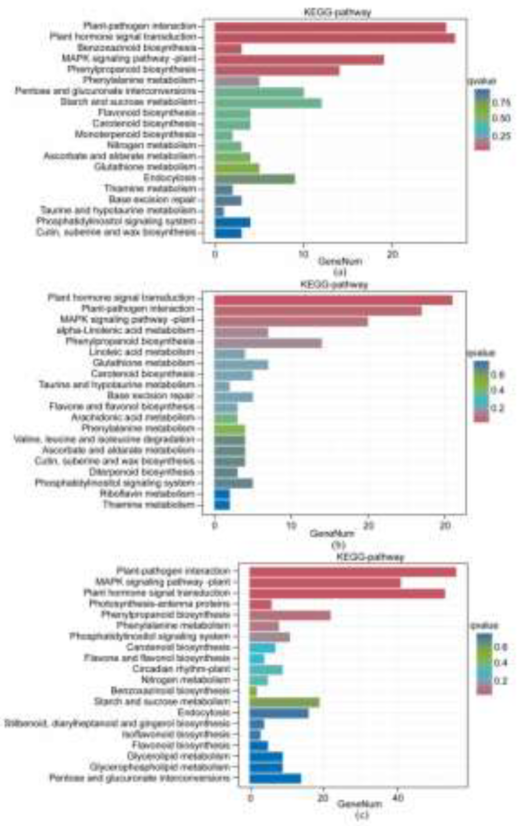 Preprints 195383 g002