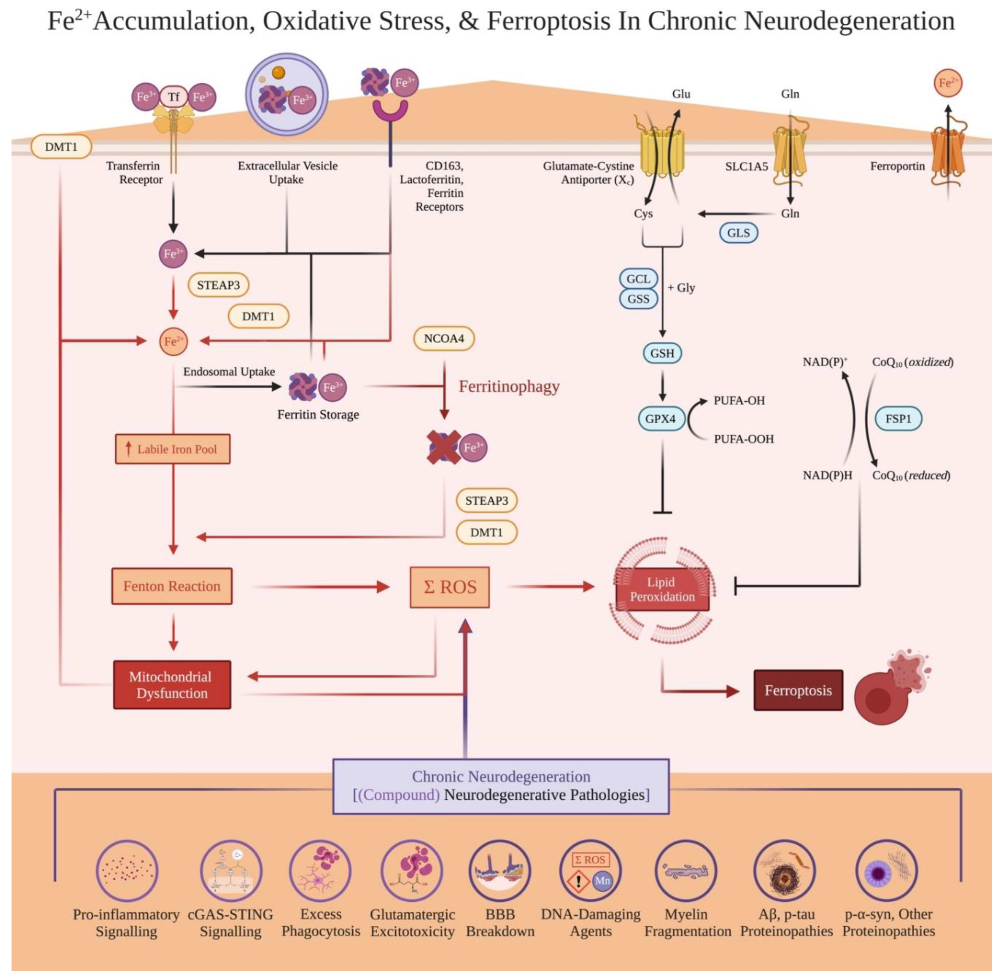 Preprints 182579 g002